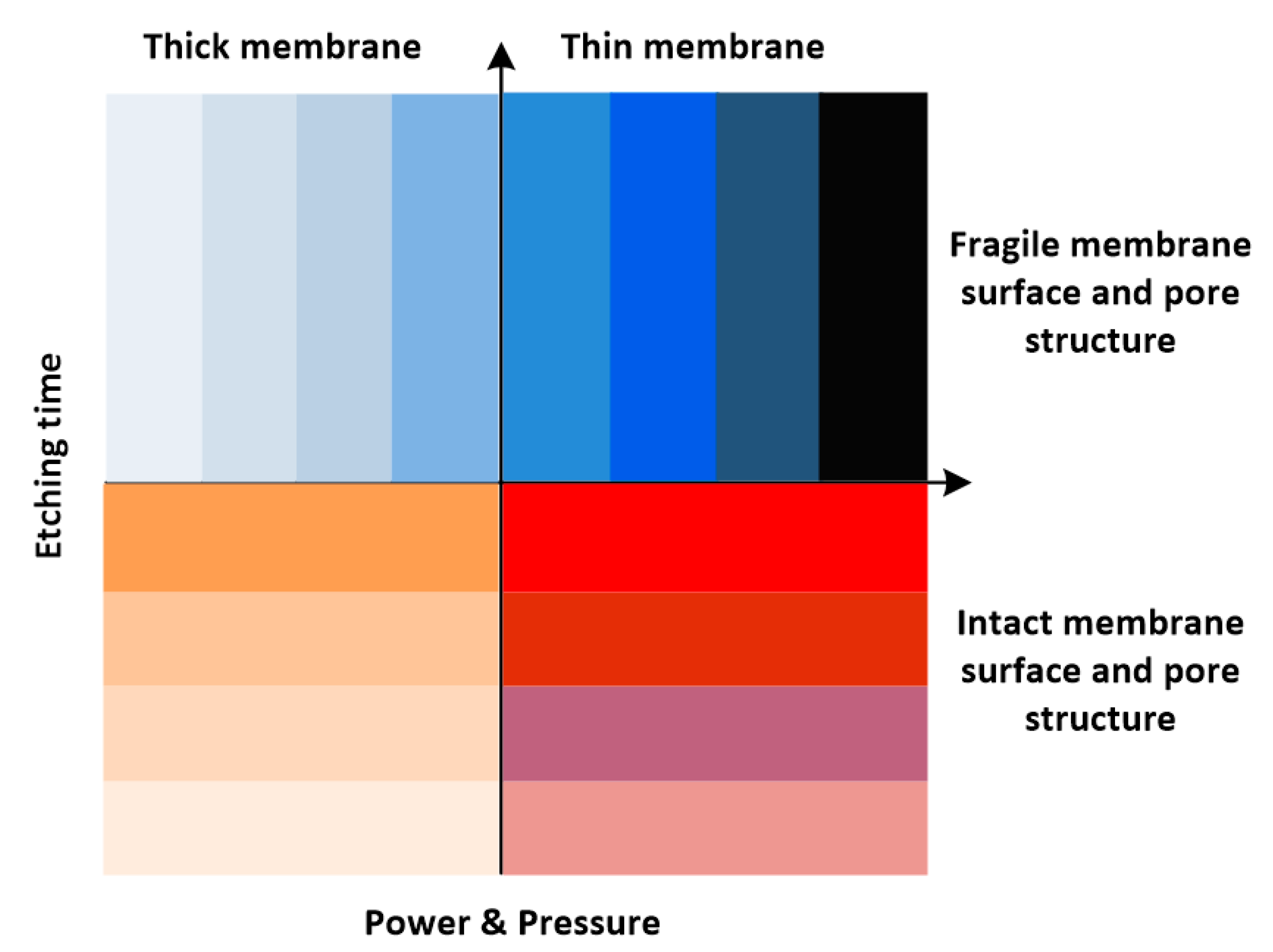 Polymers 11 01310 g019 Polymers 11 01310 g019