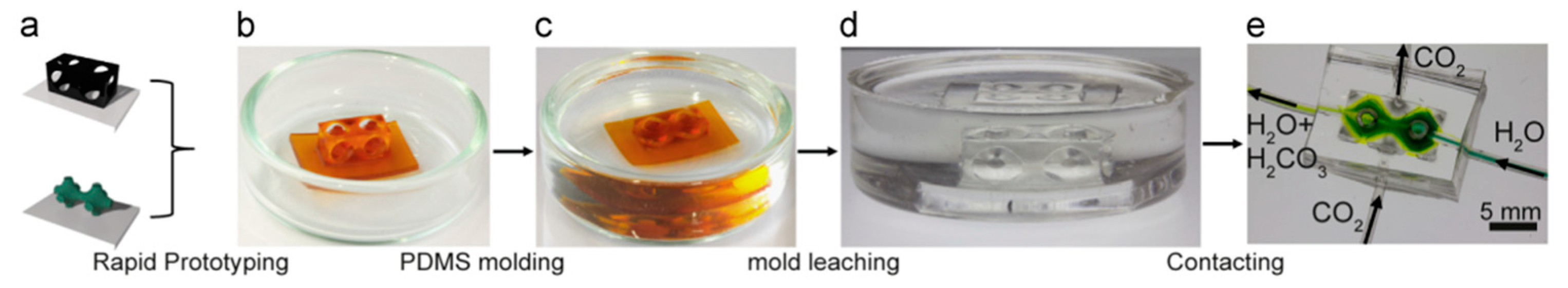 Polymers 11 01310 g021 Polymers 11 01310 g021