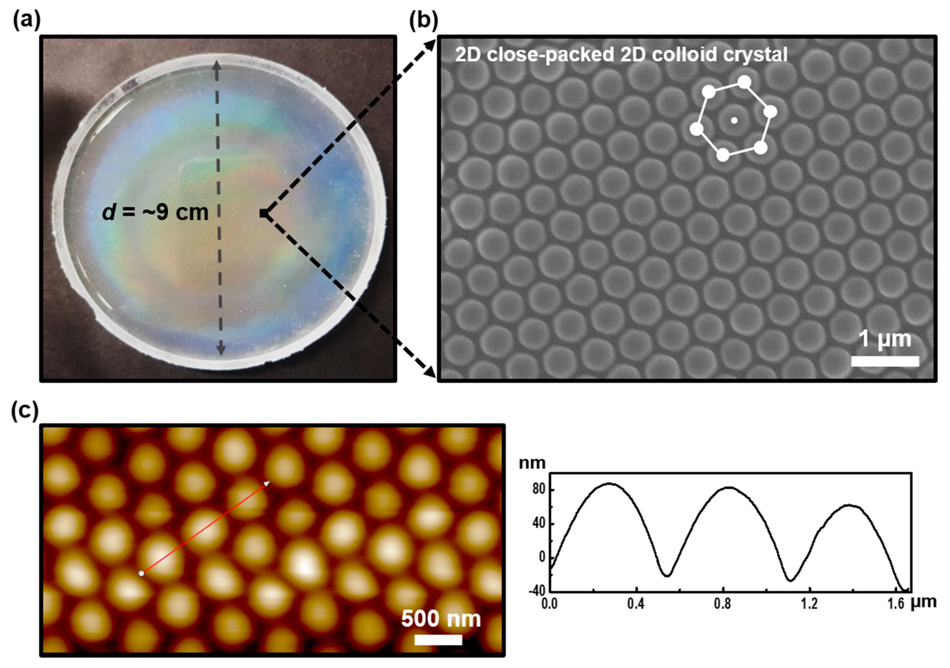 Polymers 11 01332 g001 Polymers 11 01332 g001