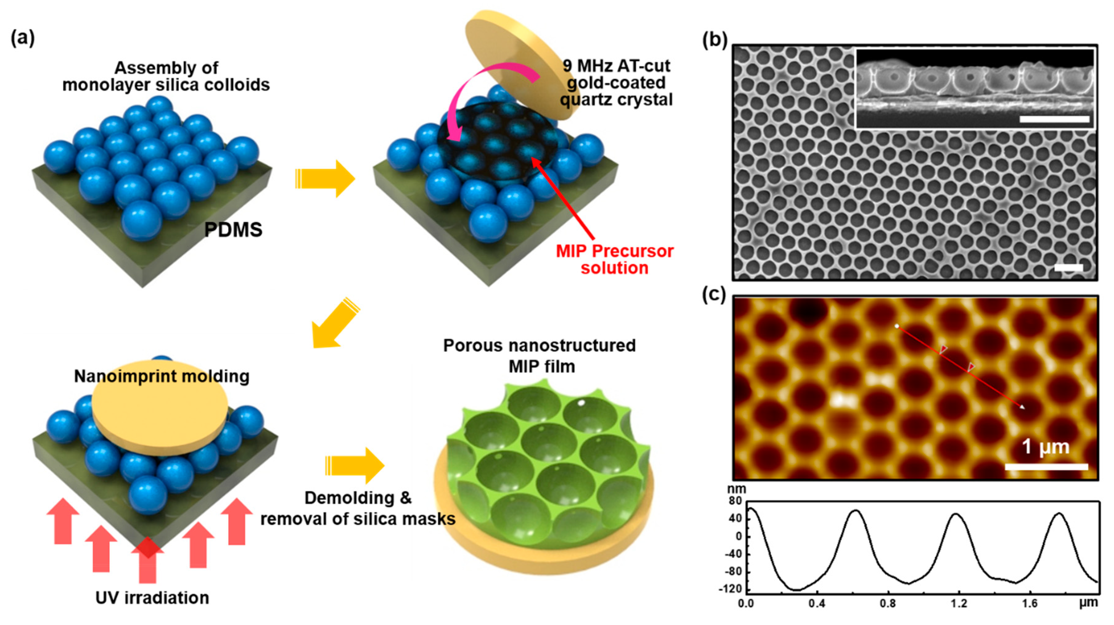 Polymers 11 01332 g002 Polymers 11 01332 g002