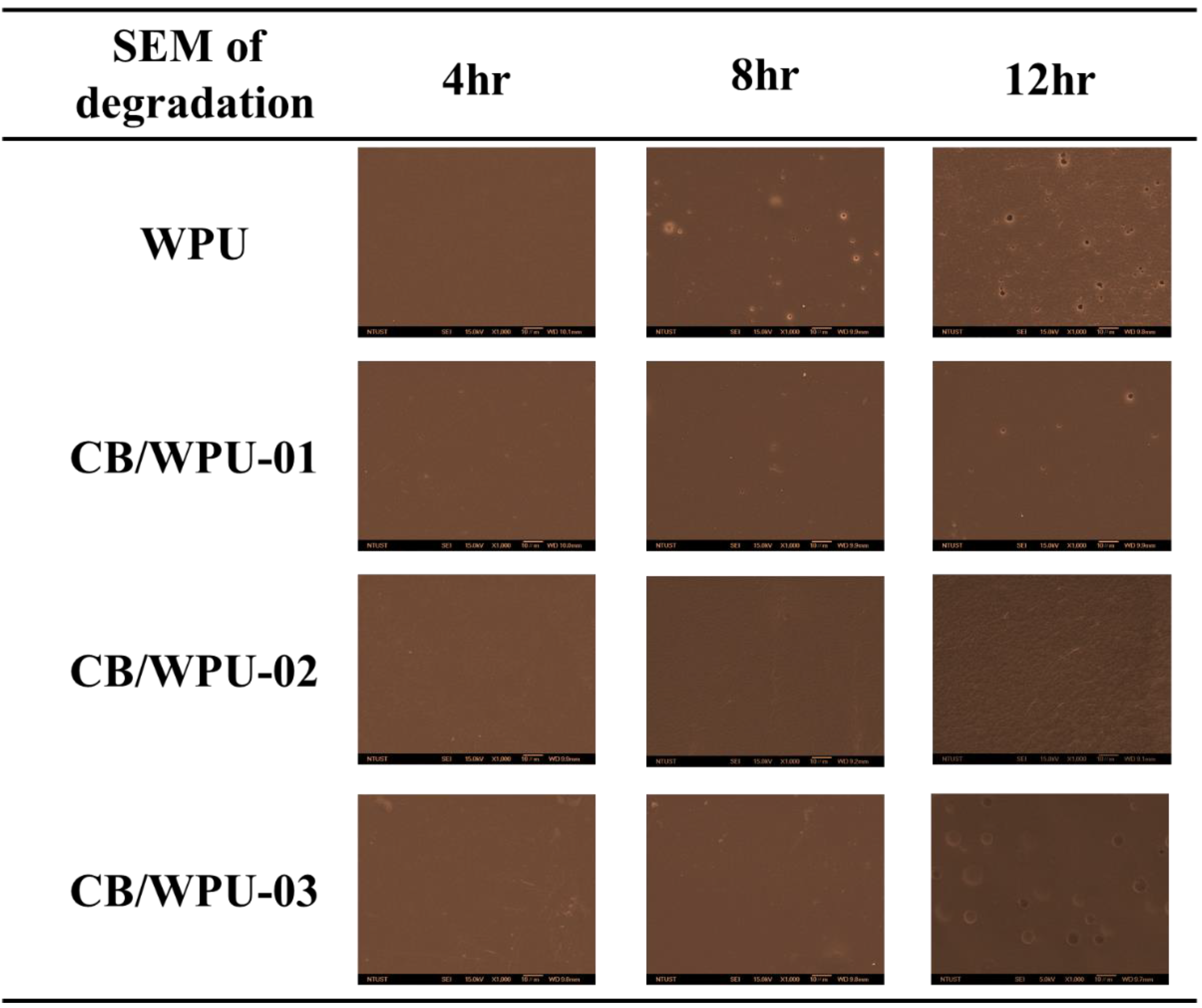 Polymers 11 01333 g008 Polymers 11 01333 g008