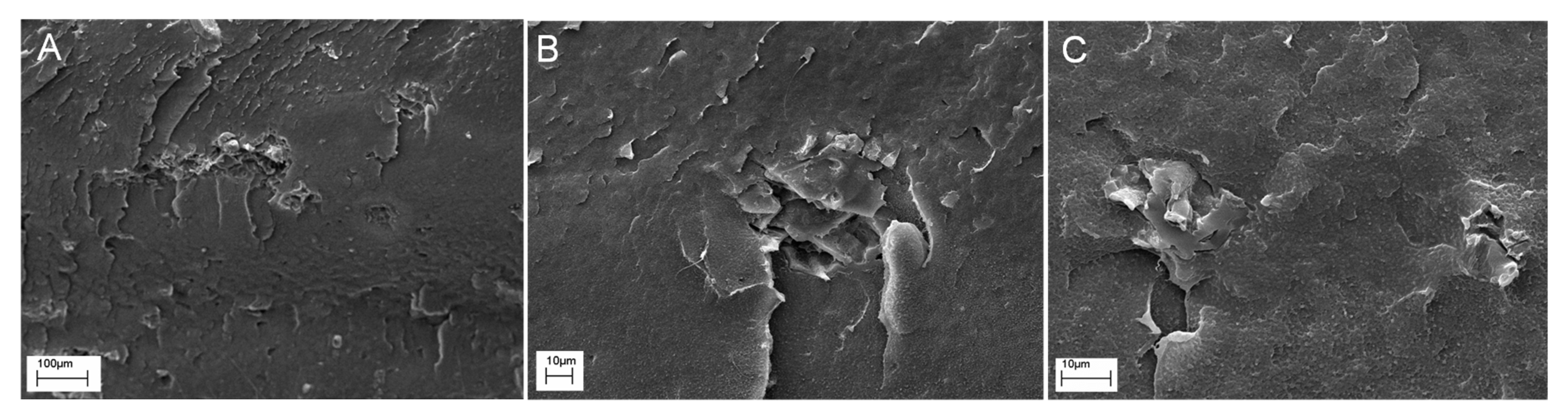Polymers 11 01336 g011