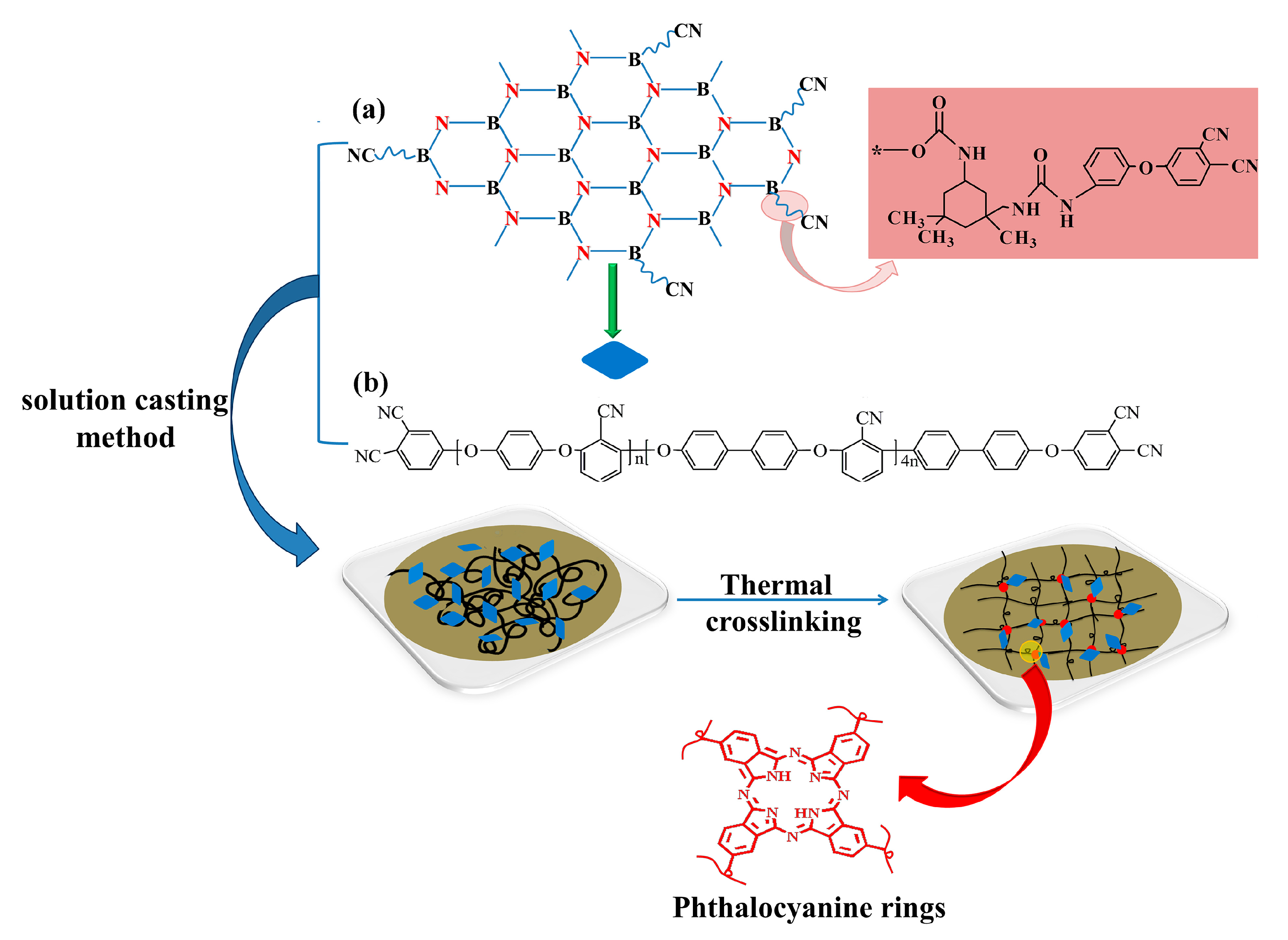Polymers Free Full Text Fabrication And Enhanced Thermal Conductivity Of Boron Nitride And Polyarylene Ether Nitrile Hybrids Html