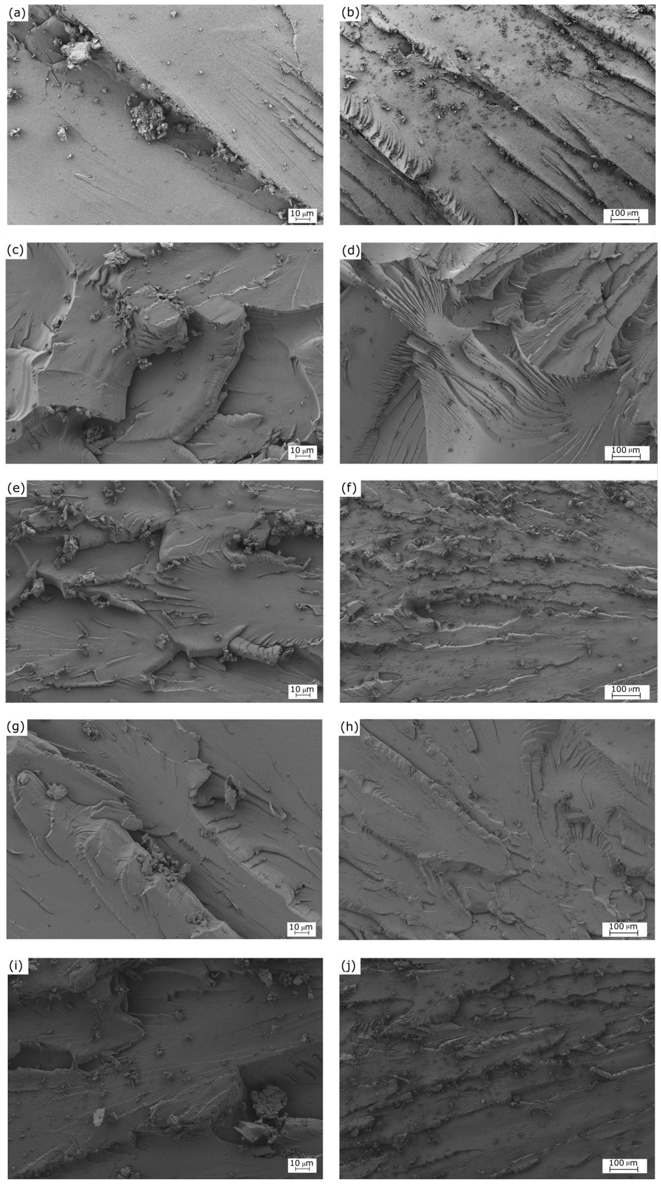 Polymers 11 01354 g002 Polymers 11 01354 g002