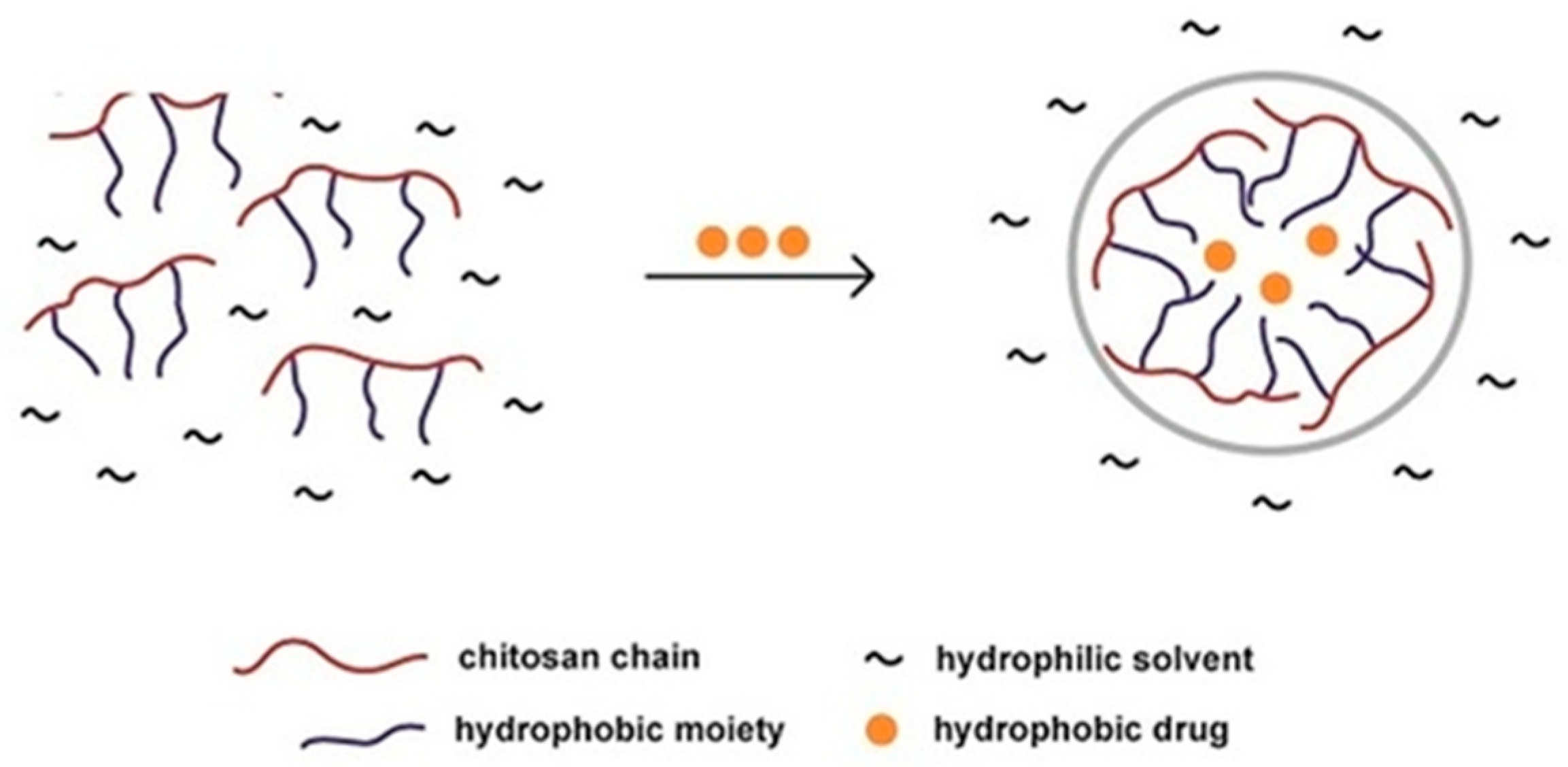 Polymers 11 01371 g005 Polymers 11 01371 g005