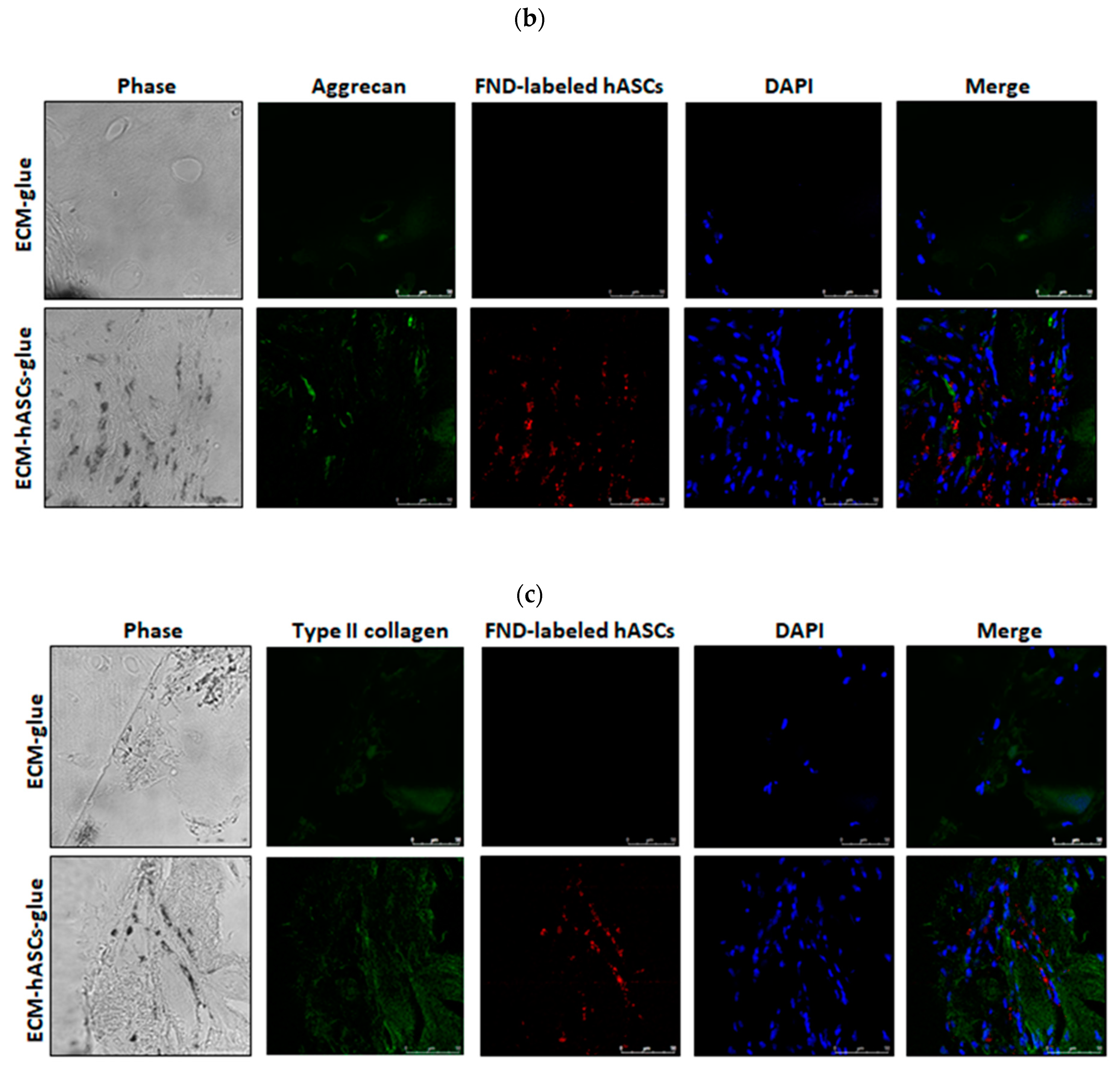 Polymers 11 01391 g005b