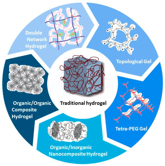 Polymers | Free Full-Text | Applications Of Hydrogels With Special ...