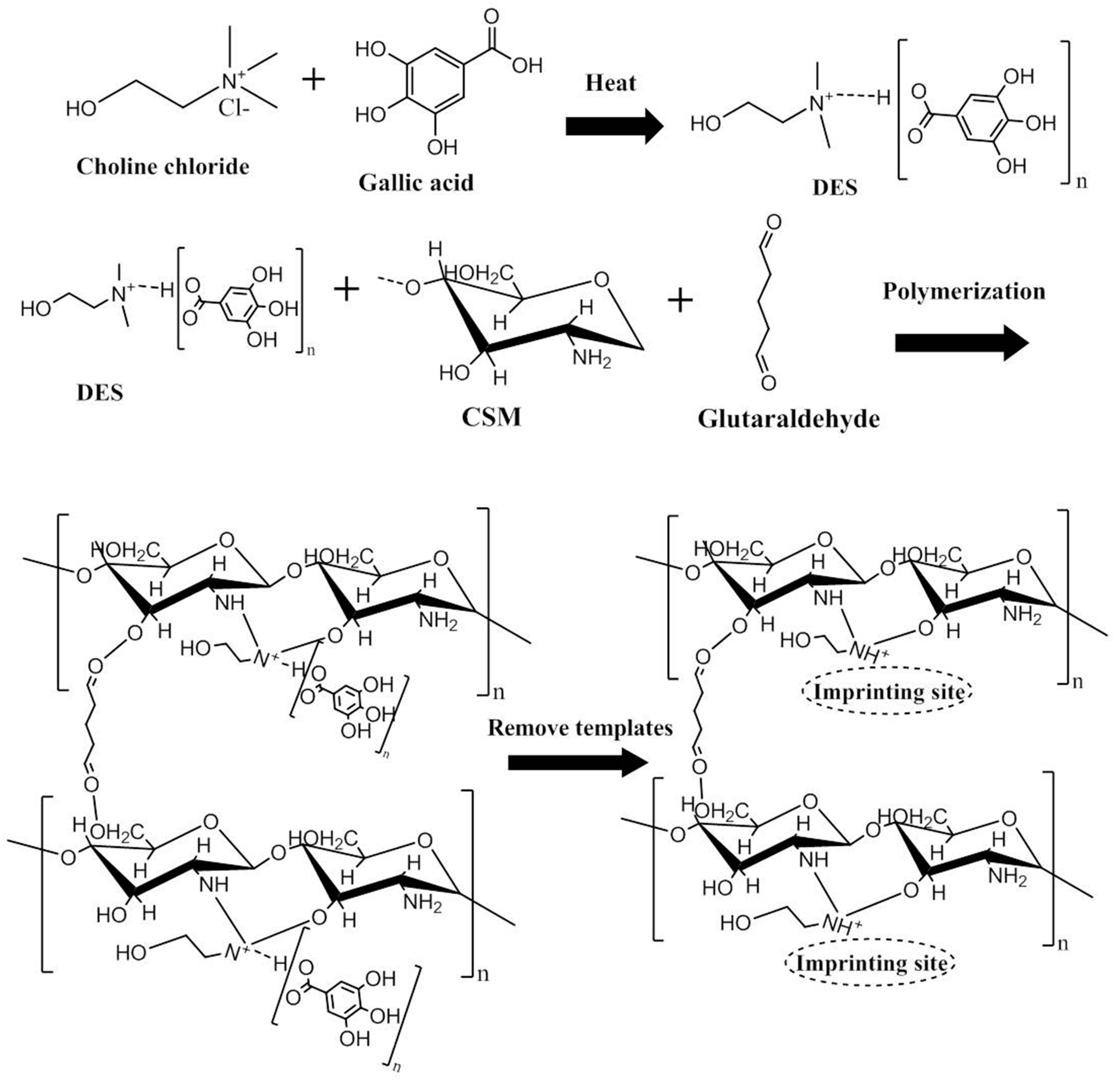 Polymers 11 01434 g001 Polymers 11 01434 g001