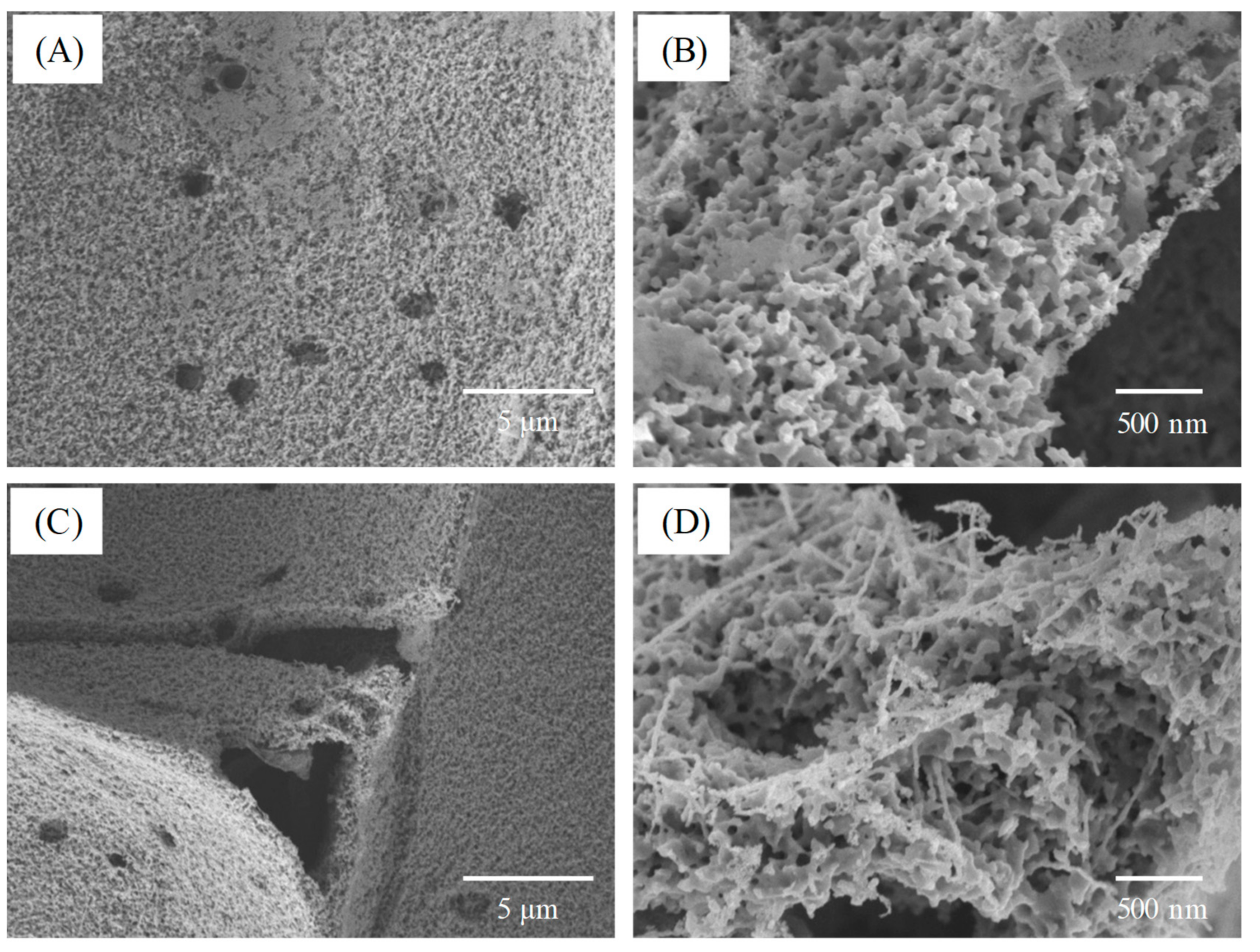 Polymers 11 01442 g007 Polymers 11 01442 g007