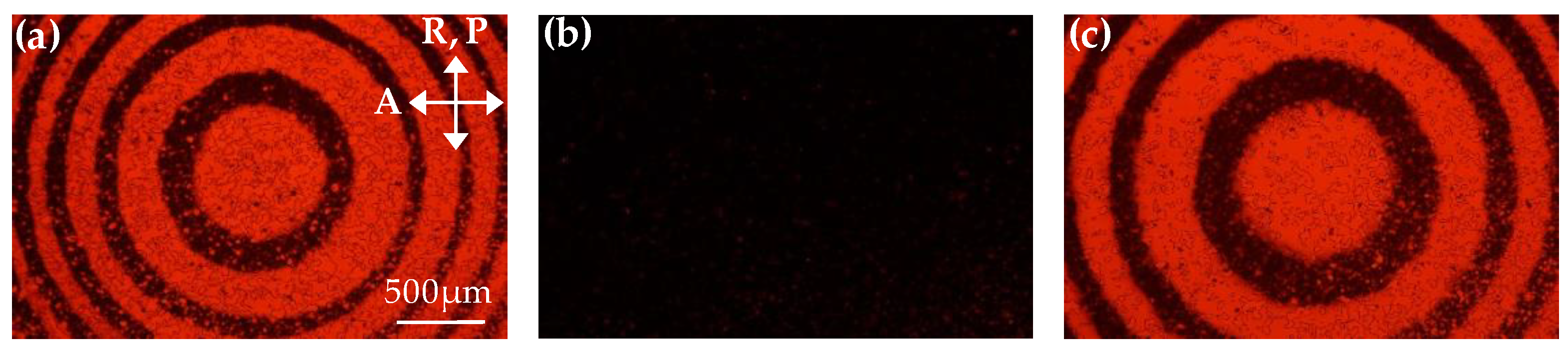 Polymers 11 01448 g007 Polymers 11 01448 g007