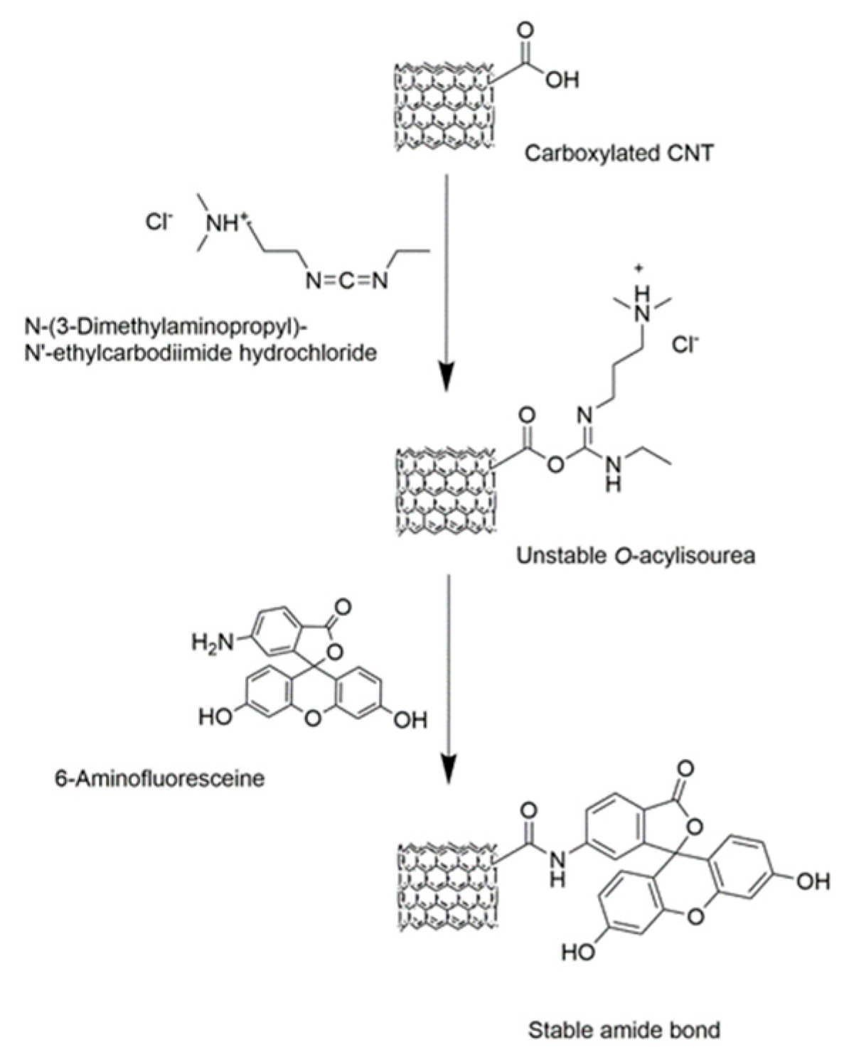 Polymers 11 01480 g002 Polymers 11 01480 g002