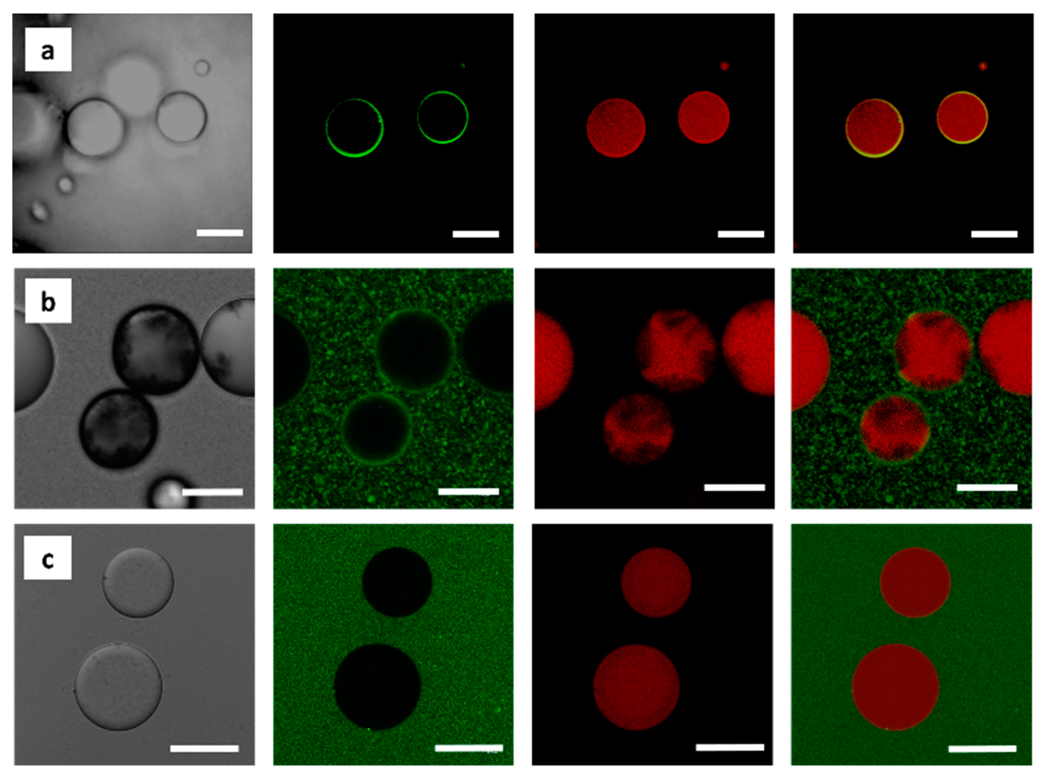Polymers 11 01480 g008 Polymers 11 01480 g008