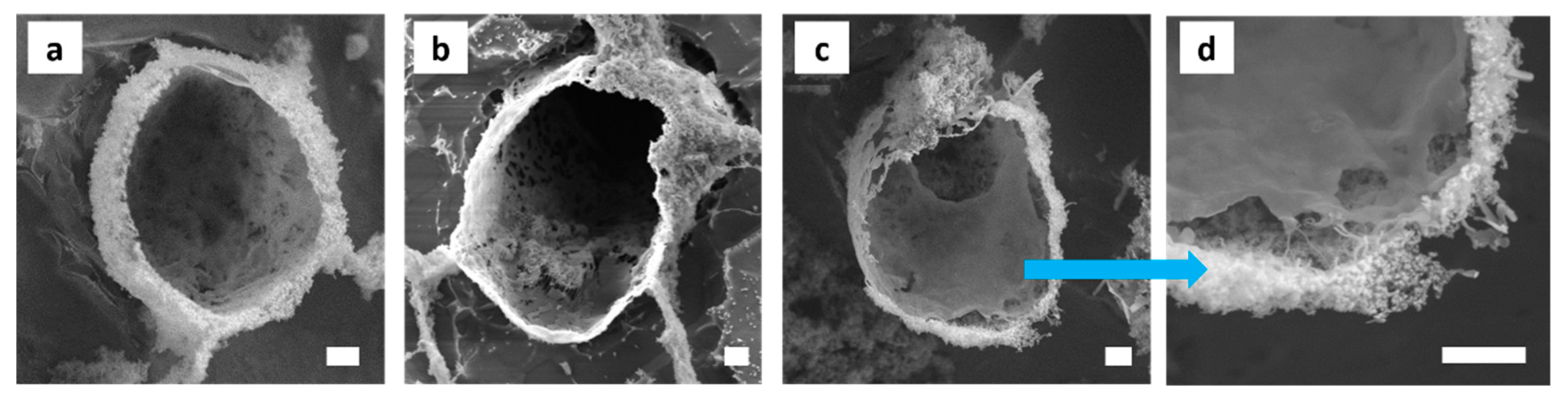 Polymers 11 01480 g009 Polymers 11 01480 g009