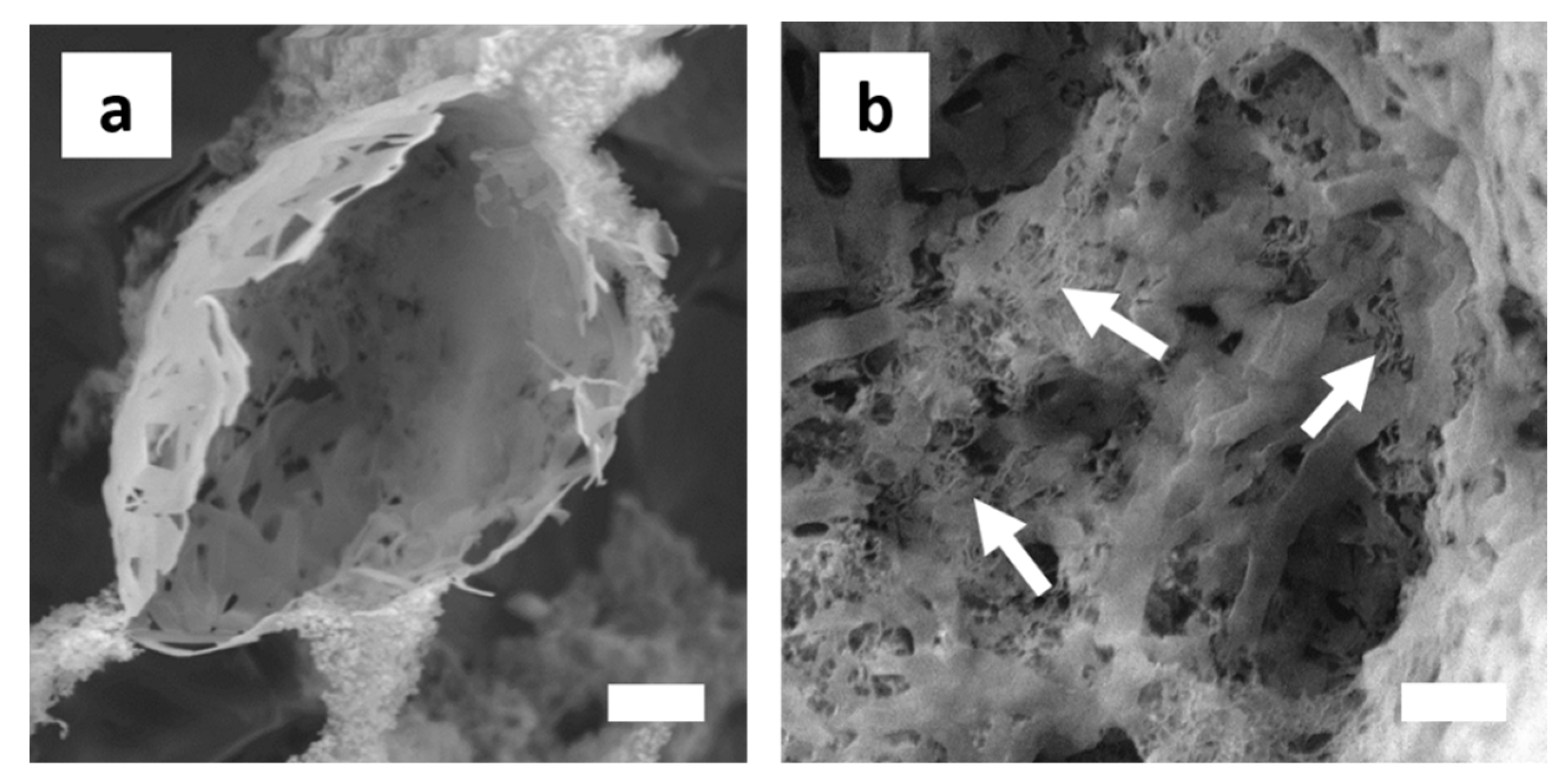 Polymers 11 01480 g010 Polymers 11 01480 g010