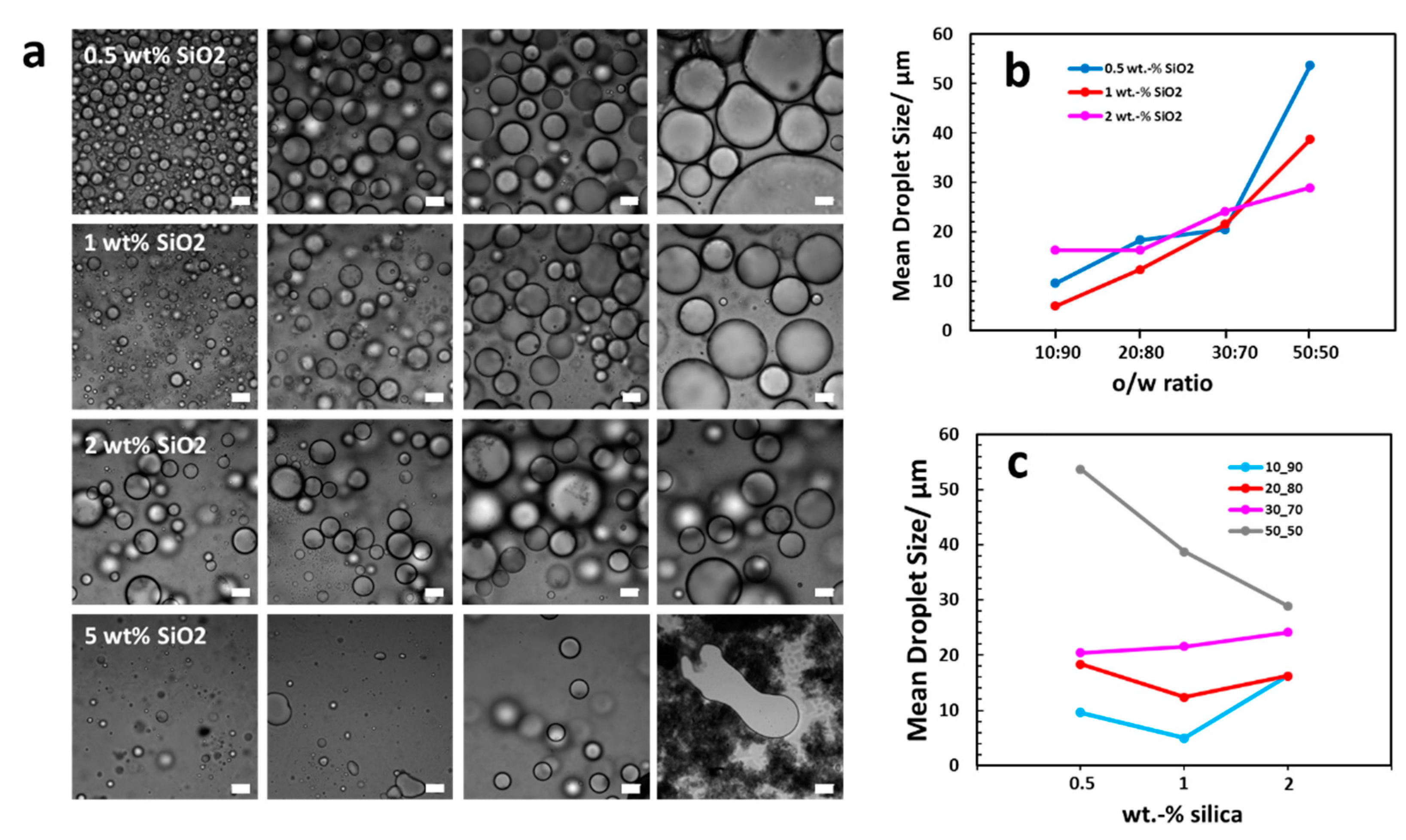 Polymers 11 01480 g0a1 Polymers 11 01480 g0a1