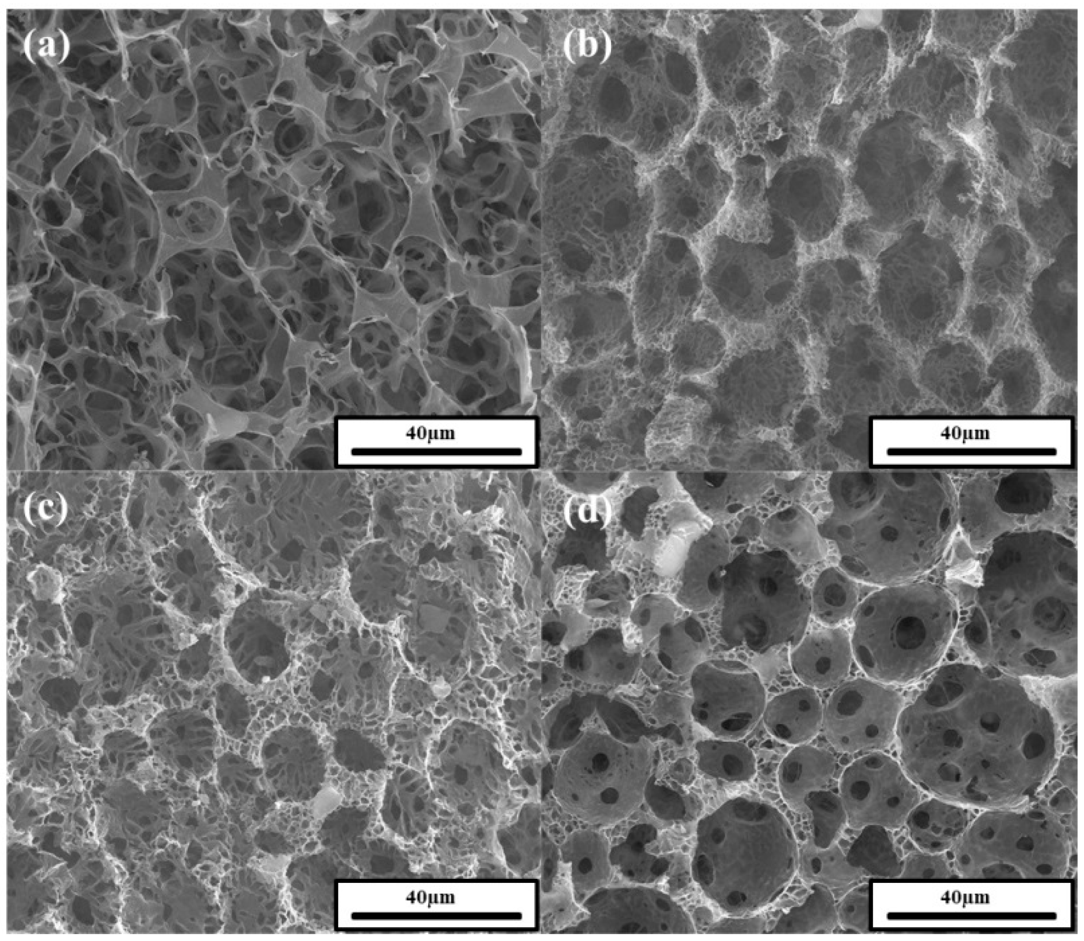 Polymers 11 01499 g008 Polymers 11 01499 g008