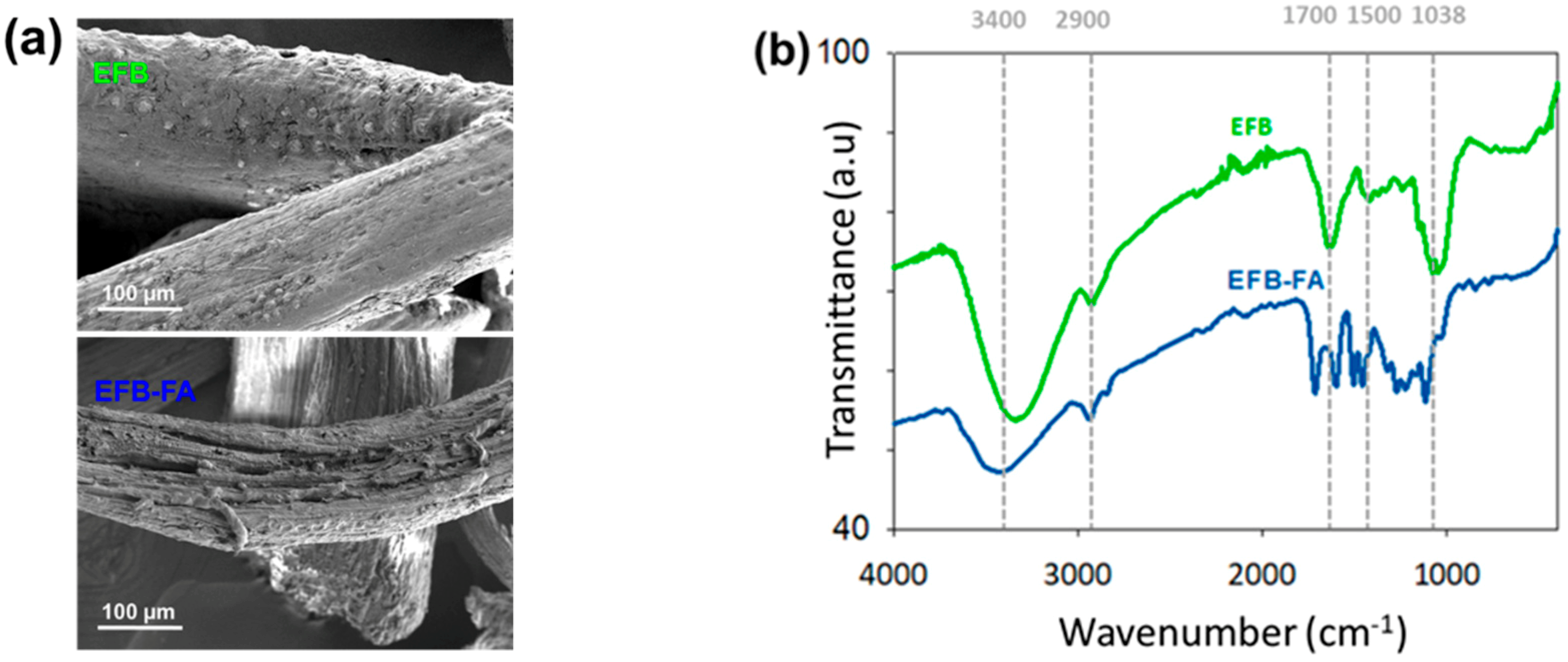 Polymers 11 01544 g002 Polymers 11 01544 g002