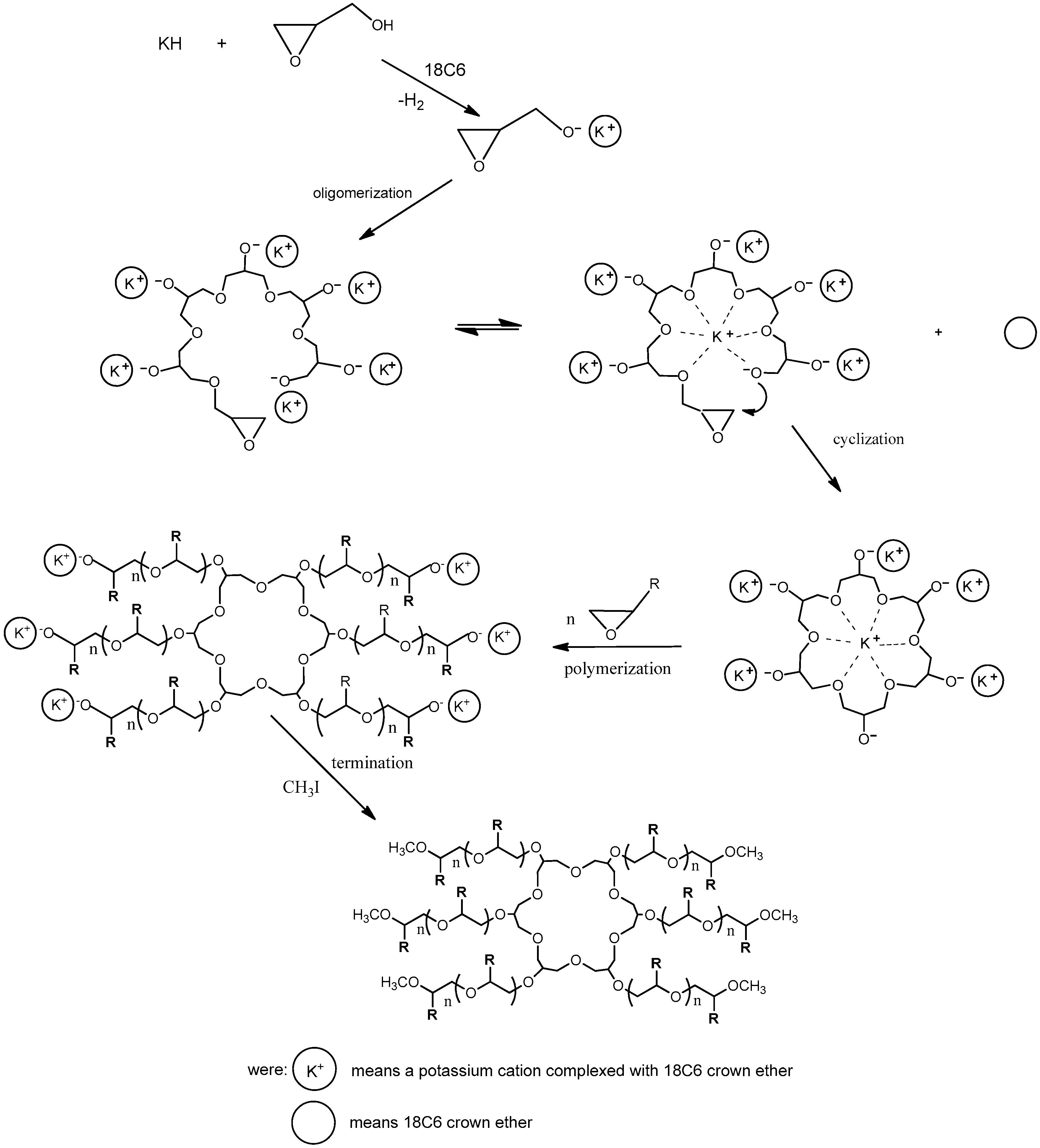 Polymers 11 01554 g001 Polymers 11 01554 g001