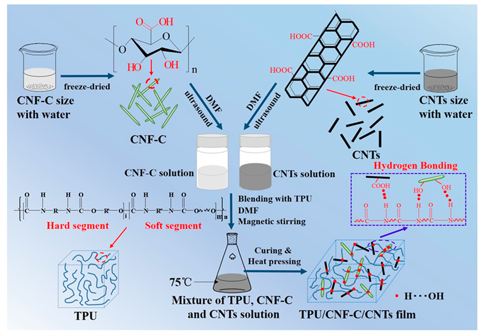 Polymers Free Full Text Hybrid Nanocomposites Of Cellulose Carbon Nanotubes Polyurethane With Rapidly Water Sensitive Shape Memory Effect And Strain Sensing Performance Html
