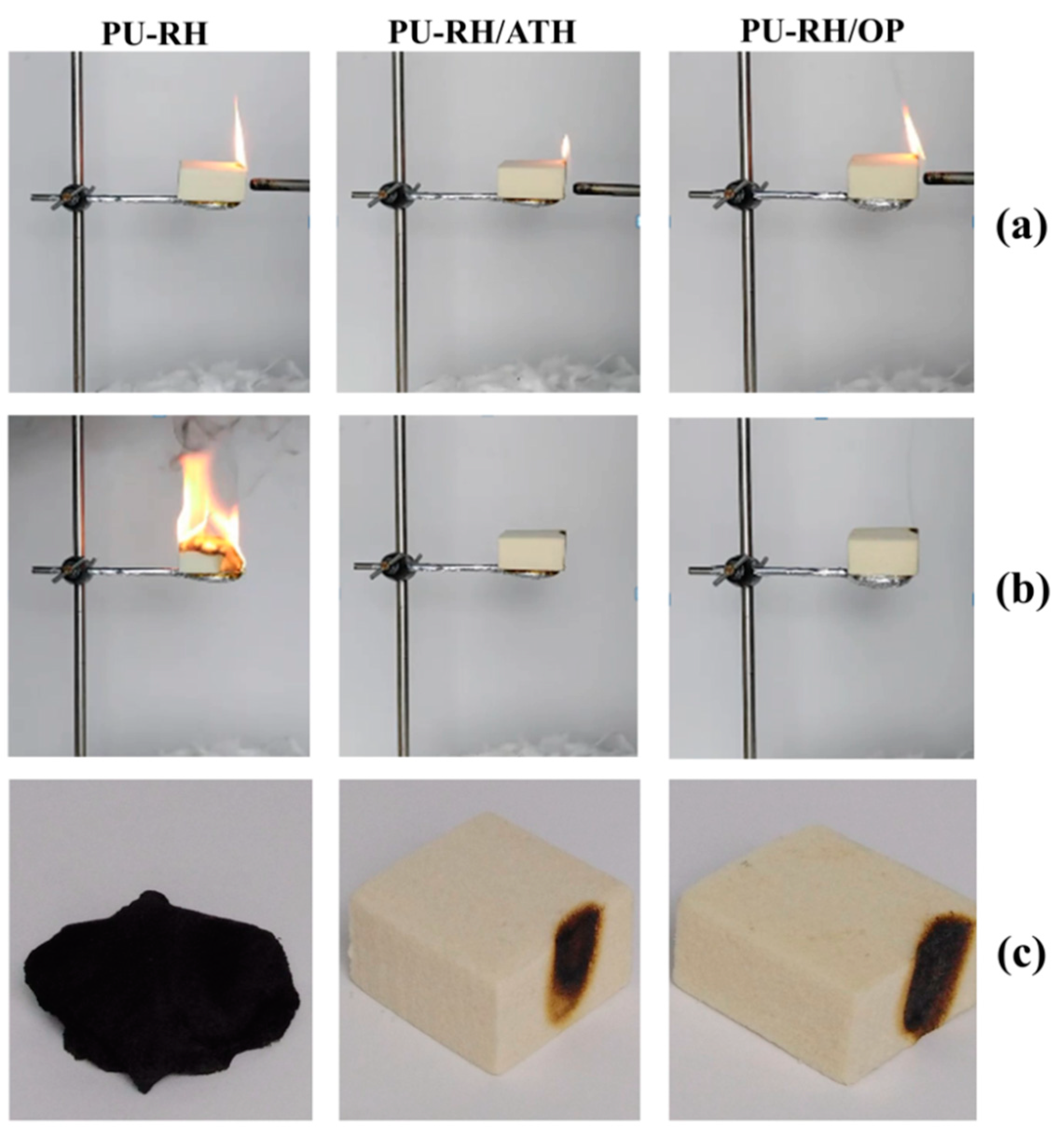 Polymers 11 01587 g002 Polymers 11 01587 g002