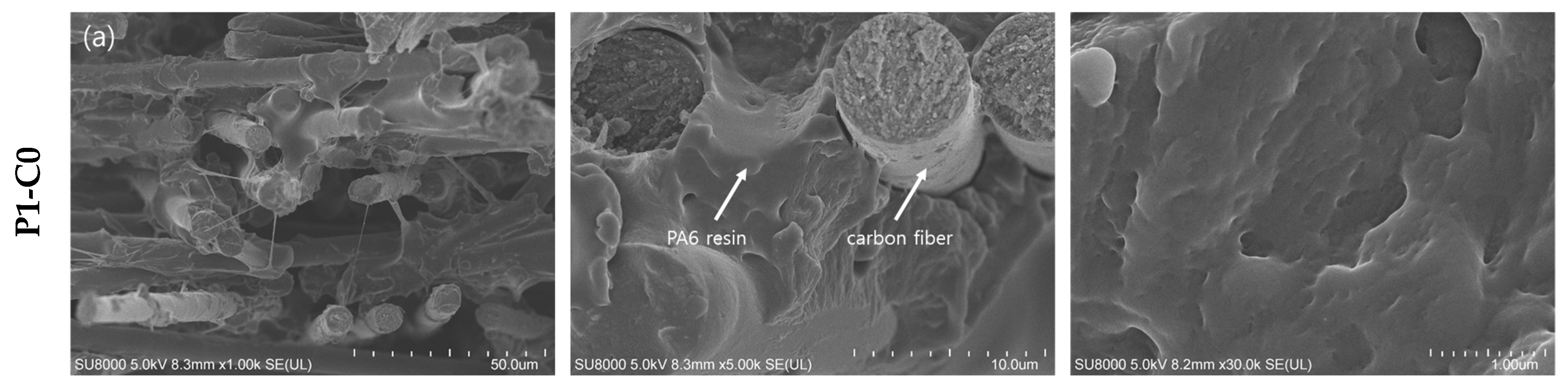Polymers 11 01597 g003a