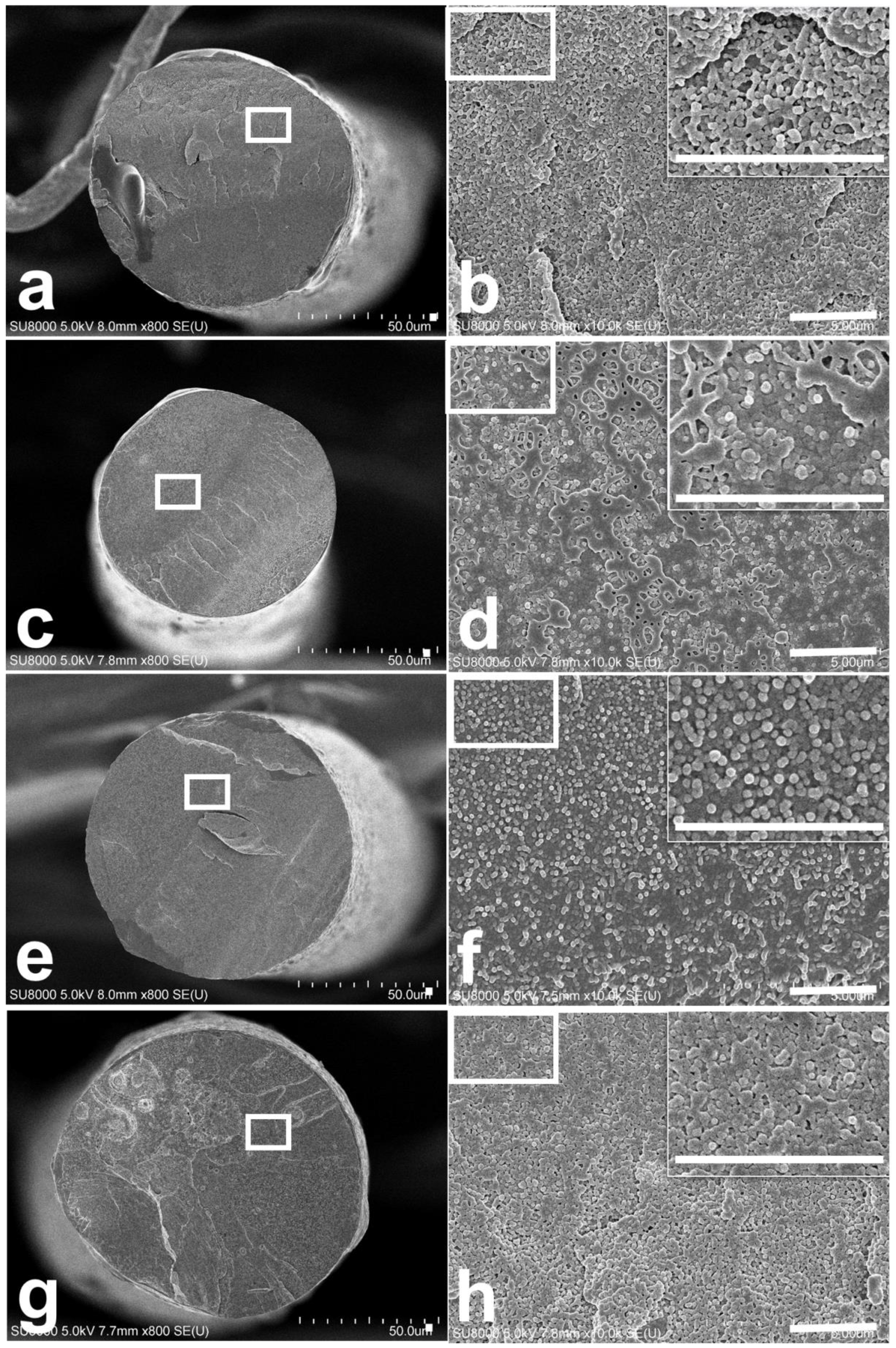 Polymers 11 01611 g005