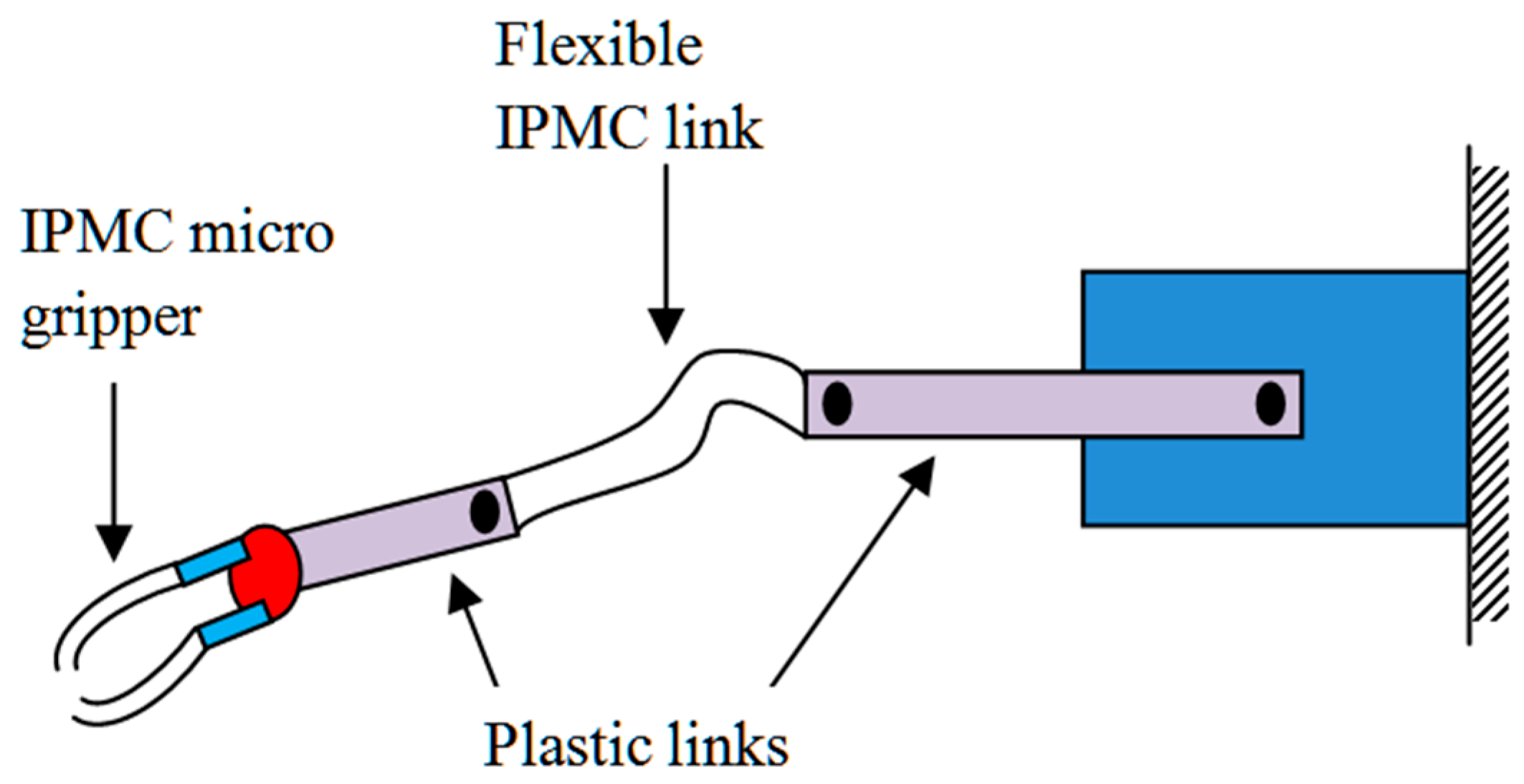 Polymers 11 01667 g015