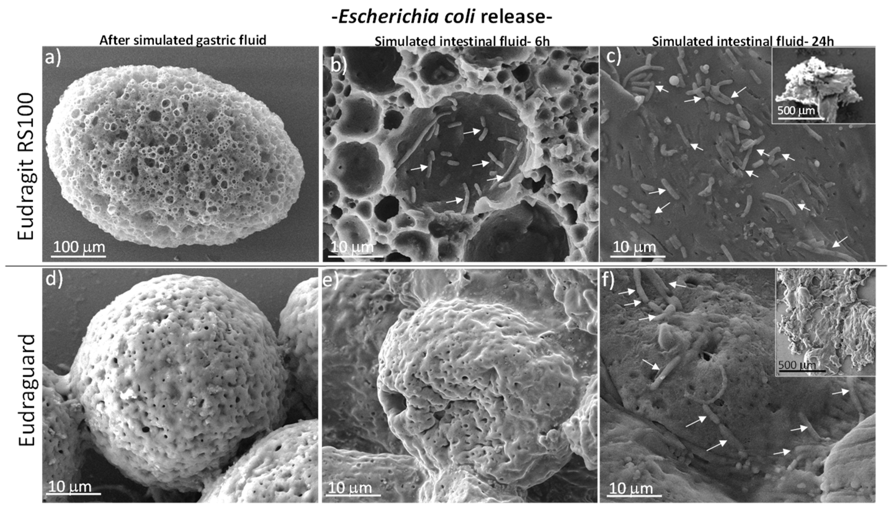 Polymers 11 01668 g006