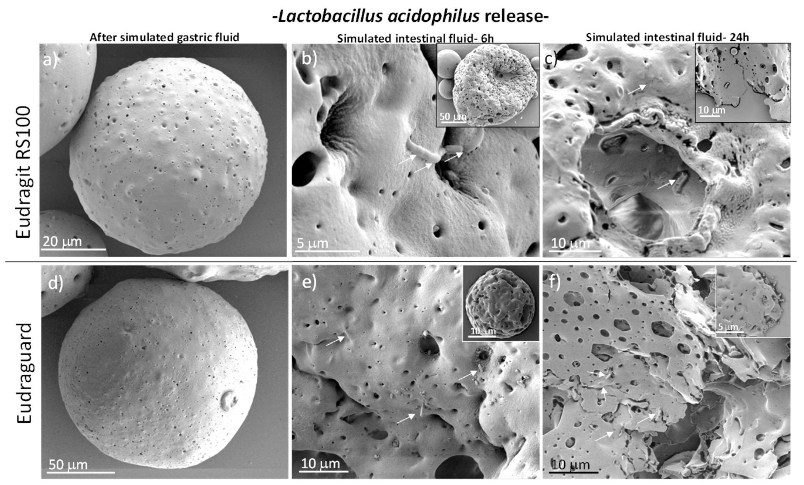 Polymers 11 01668 g007