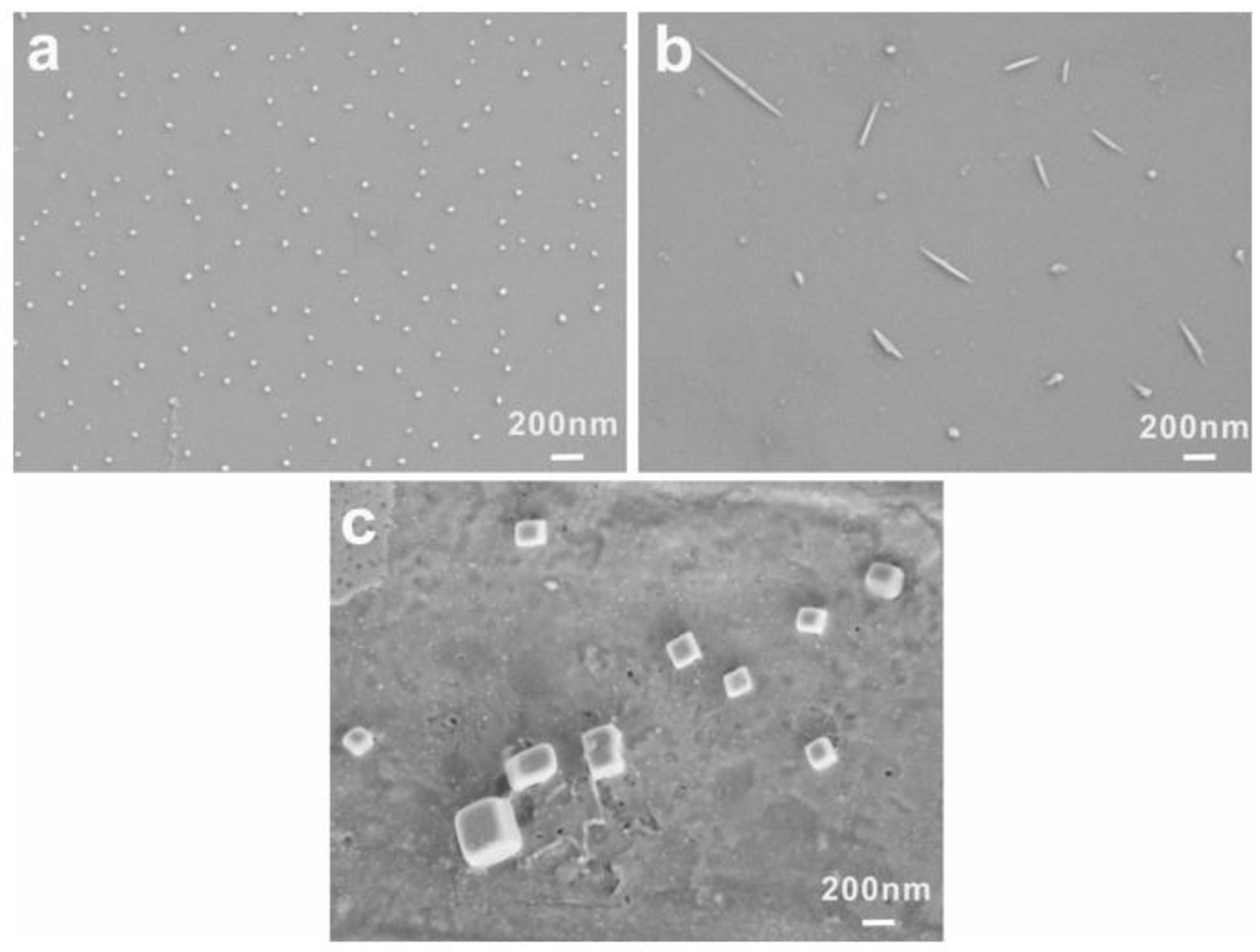 Polymers 11 01684 g004 Polymers 11 01684 g004