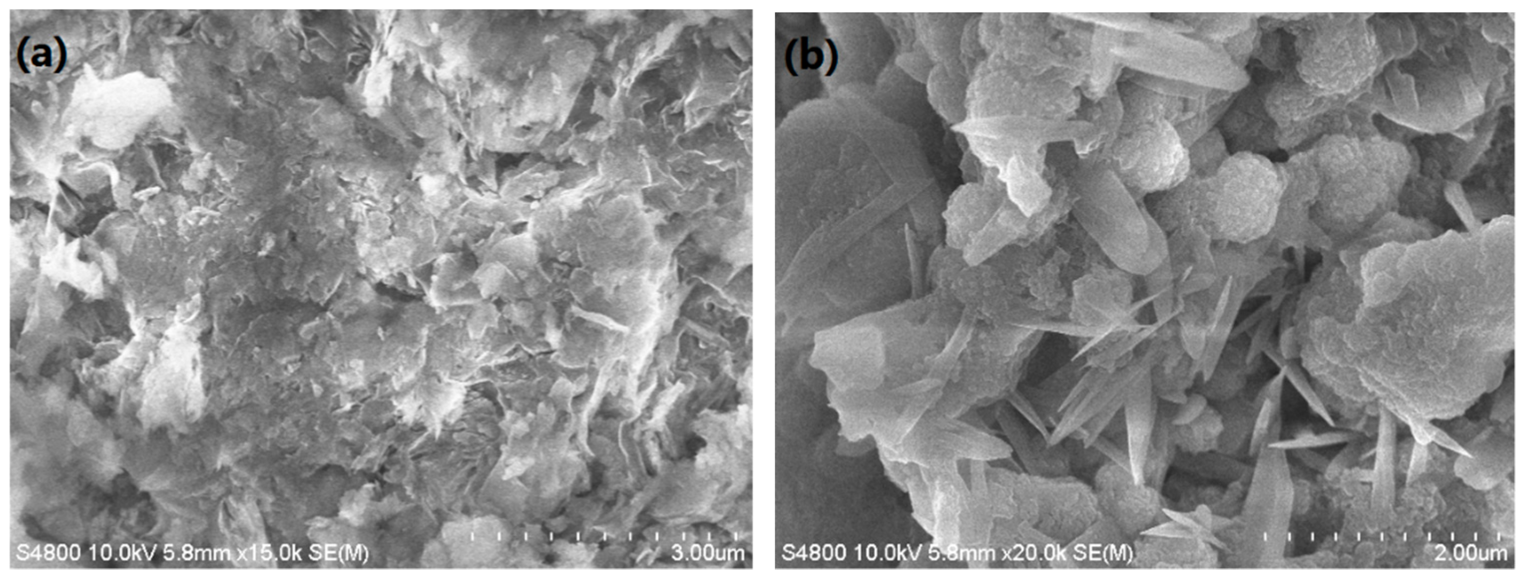 Polymers 11 01710 g002 Polymers 11 01710 g002