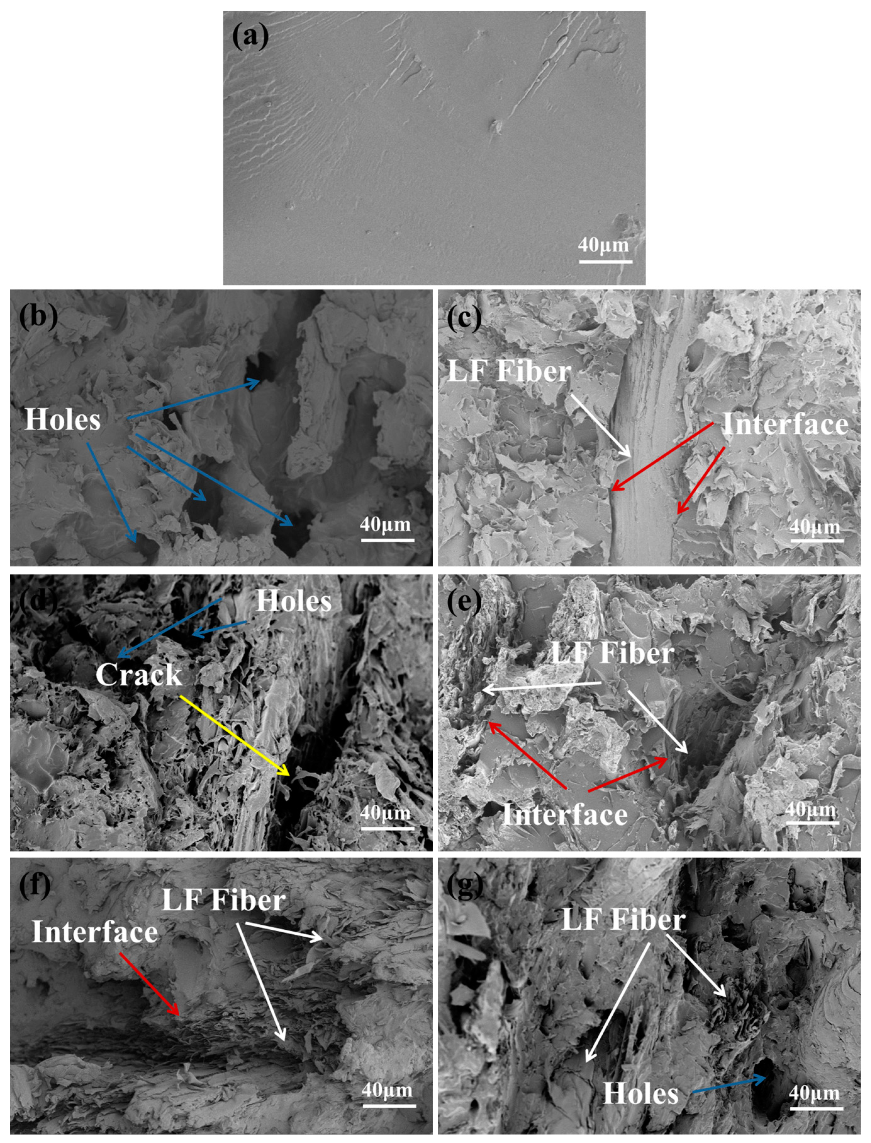 Polymers 11 01765 g011
