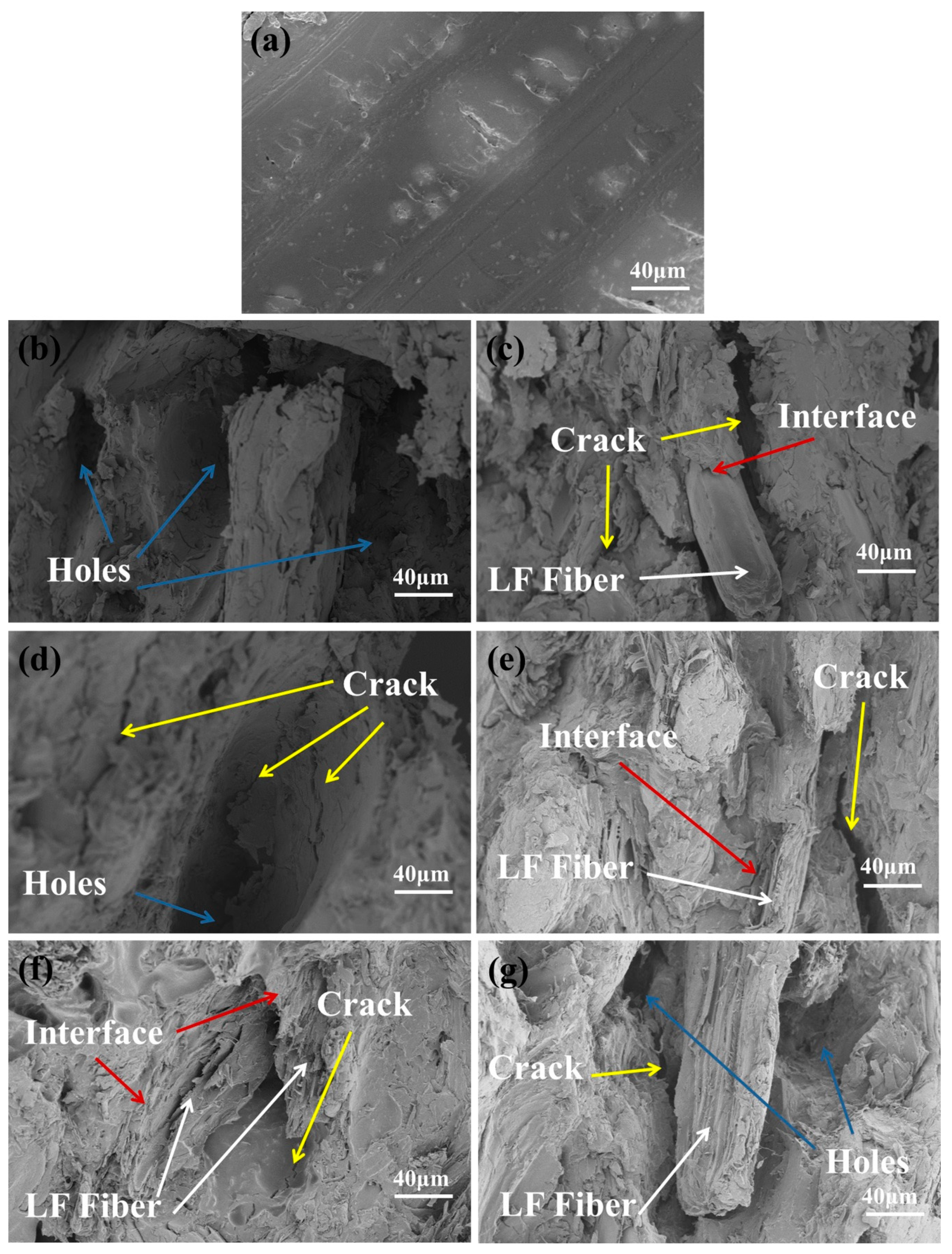 Polymers 11 01765 g012
