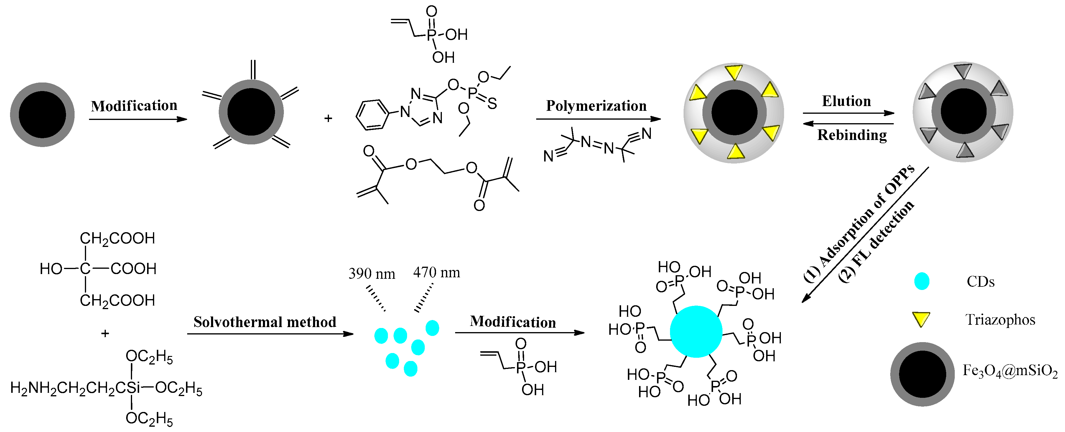 Polymers | Free Full-Text | Vinyl Phosphate-Functionalized, Magnetic,  Molecularly-Imprinted Polymeric Microspheres' Enrichment and Carbon Dots'  Fluorescence-Detection of Organophosphorus Pesticide Residues