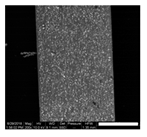 Polymers 11 01792 i001