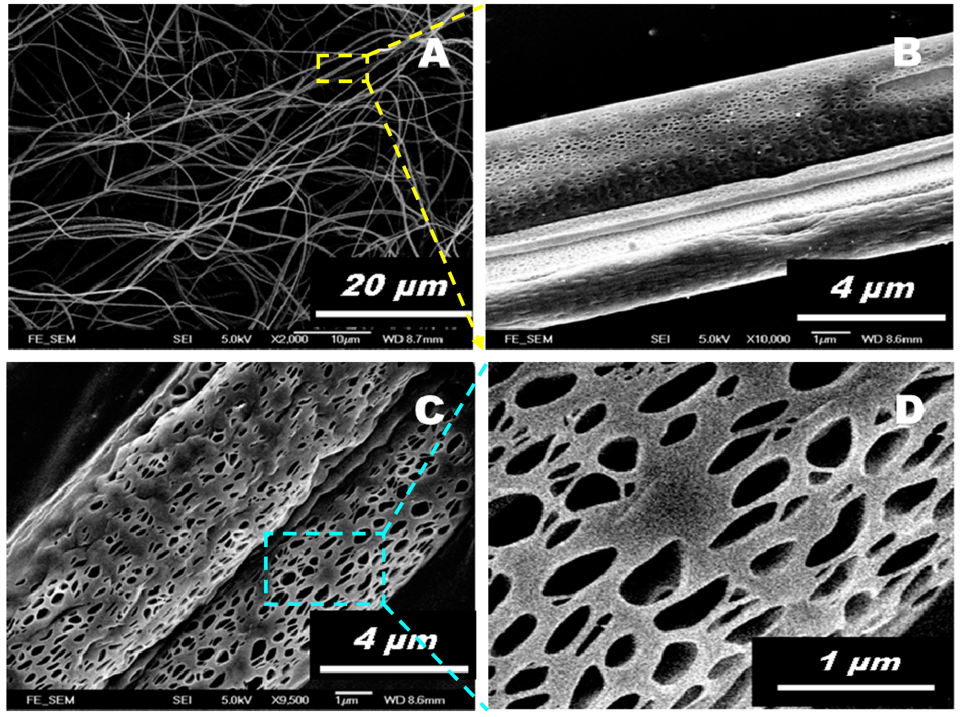 Polymers 11 01860 g001 Polymers 11 01860 g001