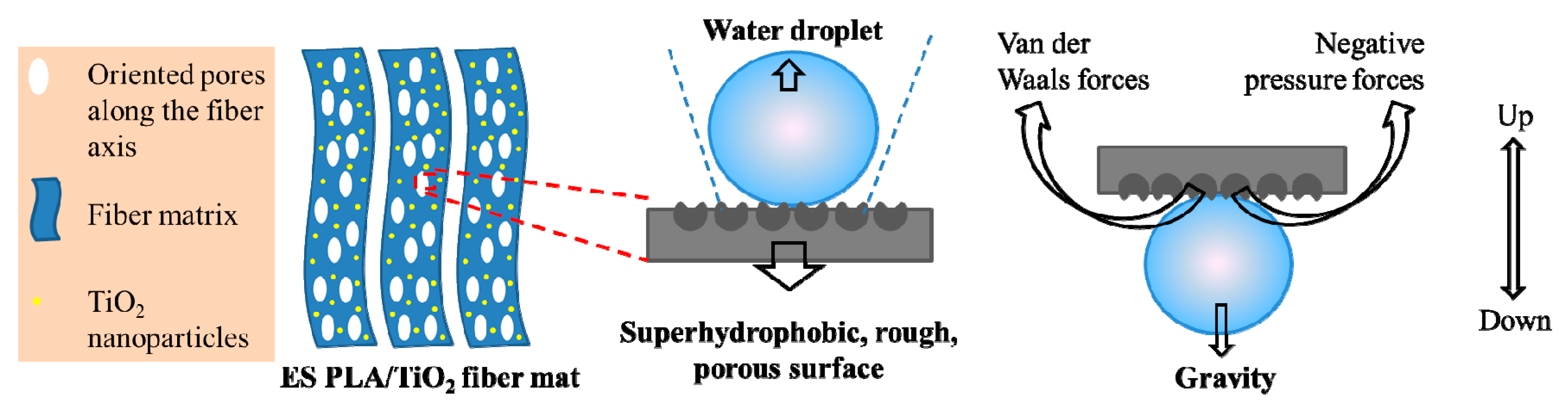 Polymers 11 01860 g004 Polymers 11 01860 g004