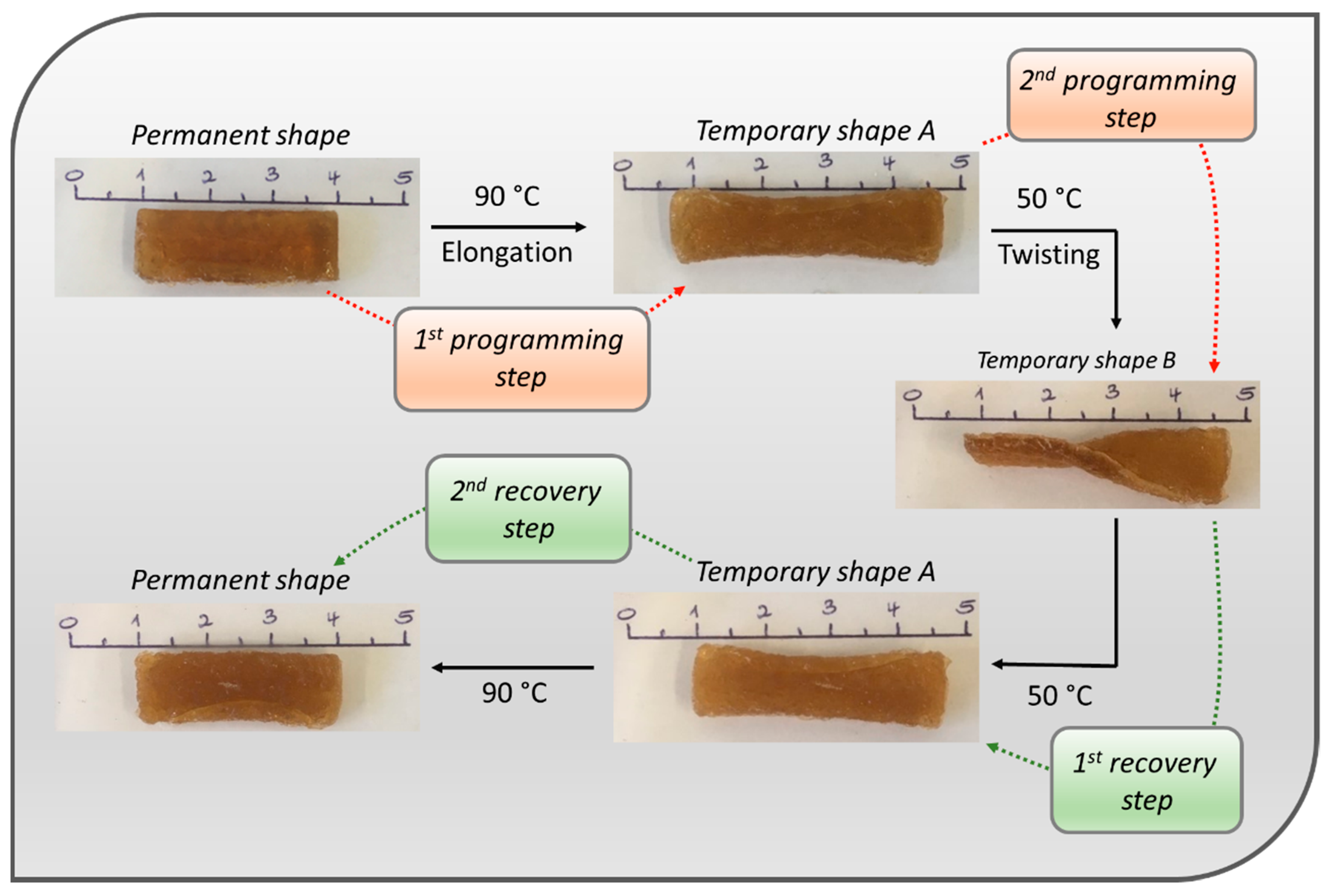 Polymers 11 01889 g007