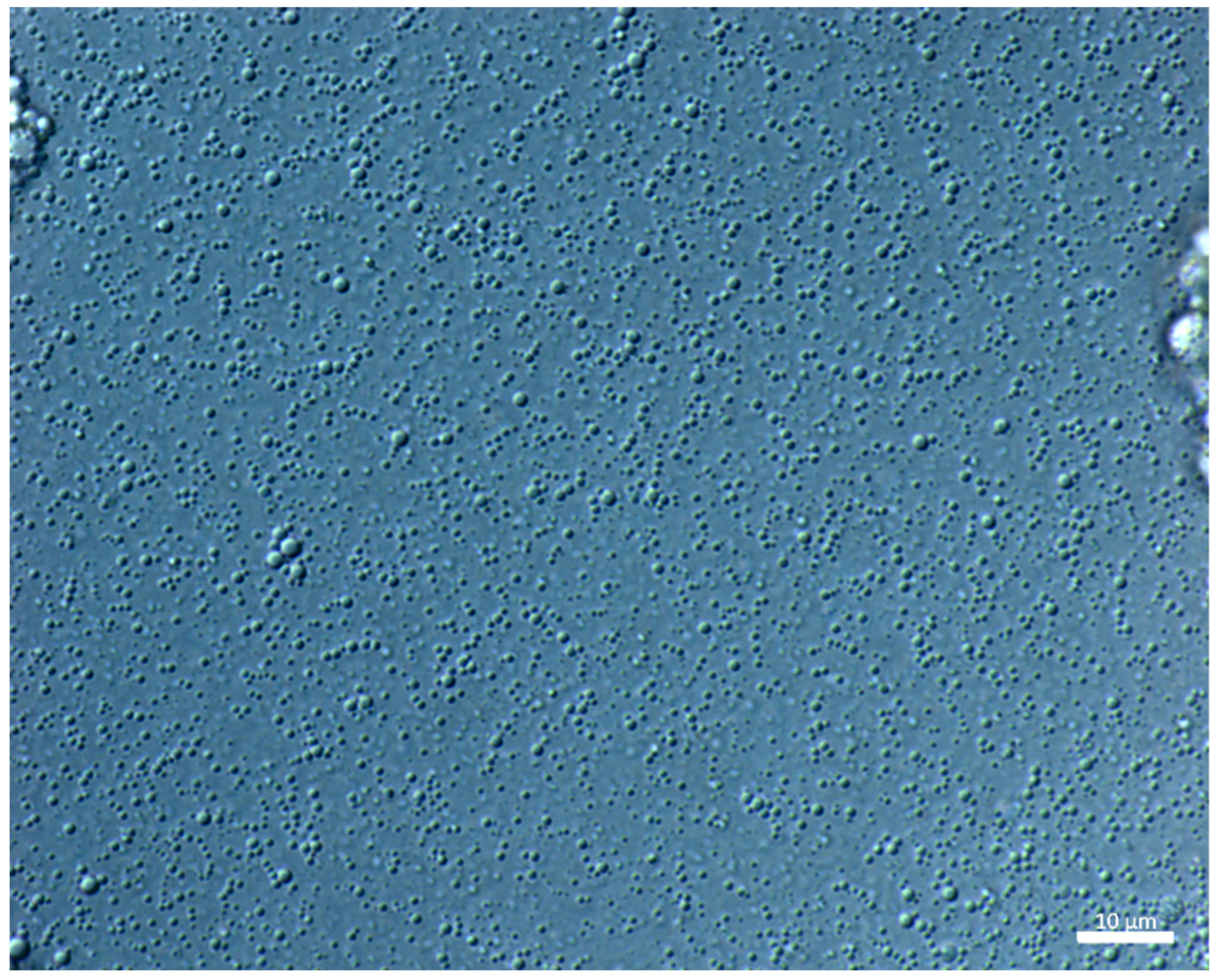 Polymers 11 01951 g005 Polymers 11 01951 g005