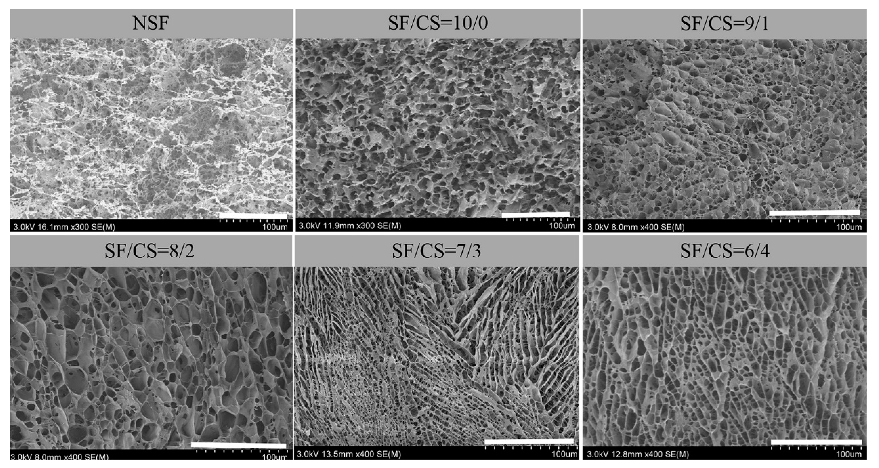 Polymers 11 01980 g002