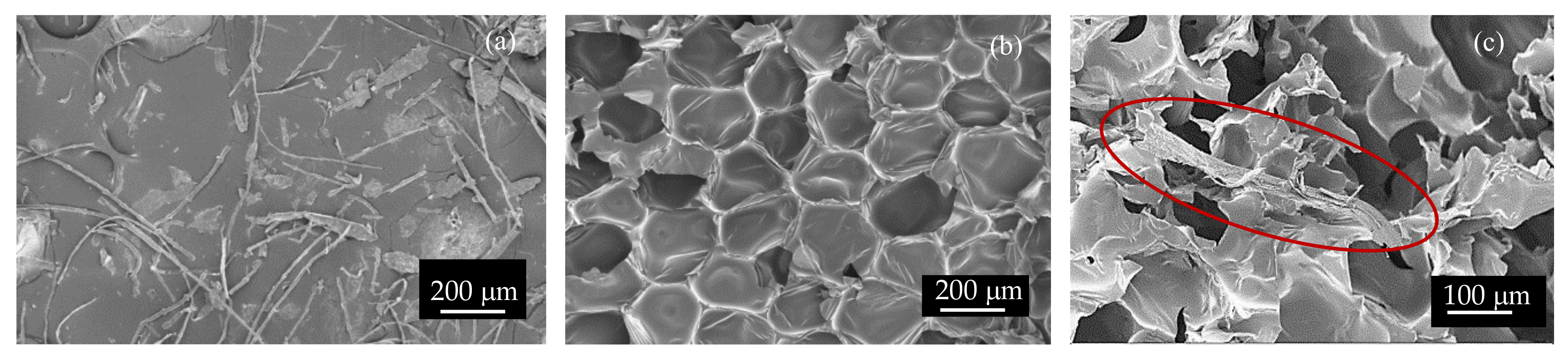 Polymers 11 02002 g001