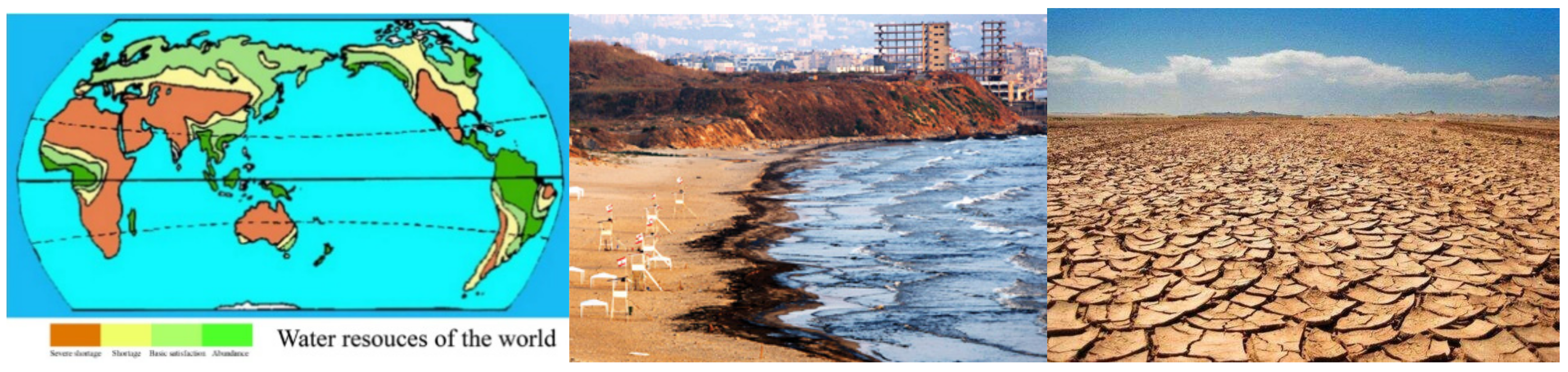 Polymers 11 02005 g001