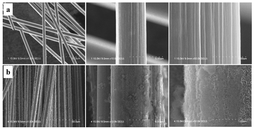 Polymers 11 02009 g003 Polymers 11 02009 g003