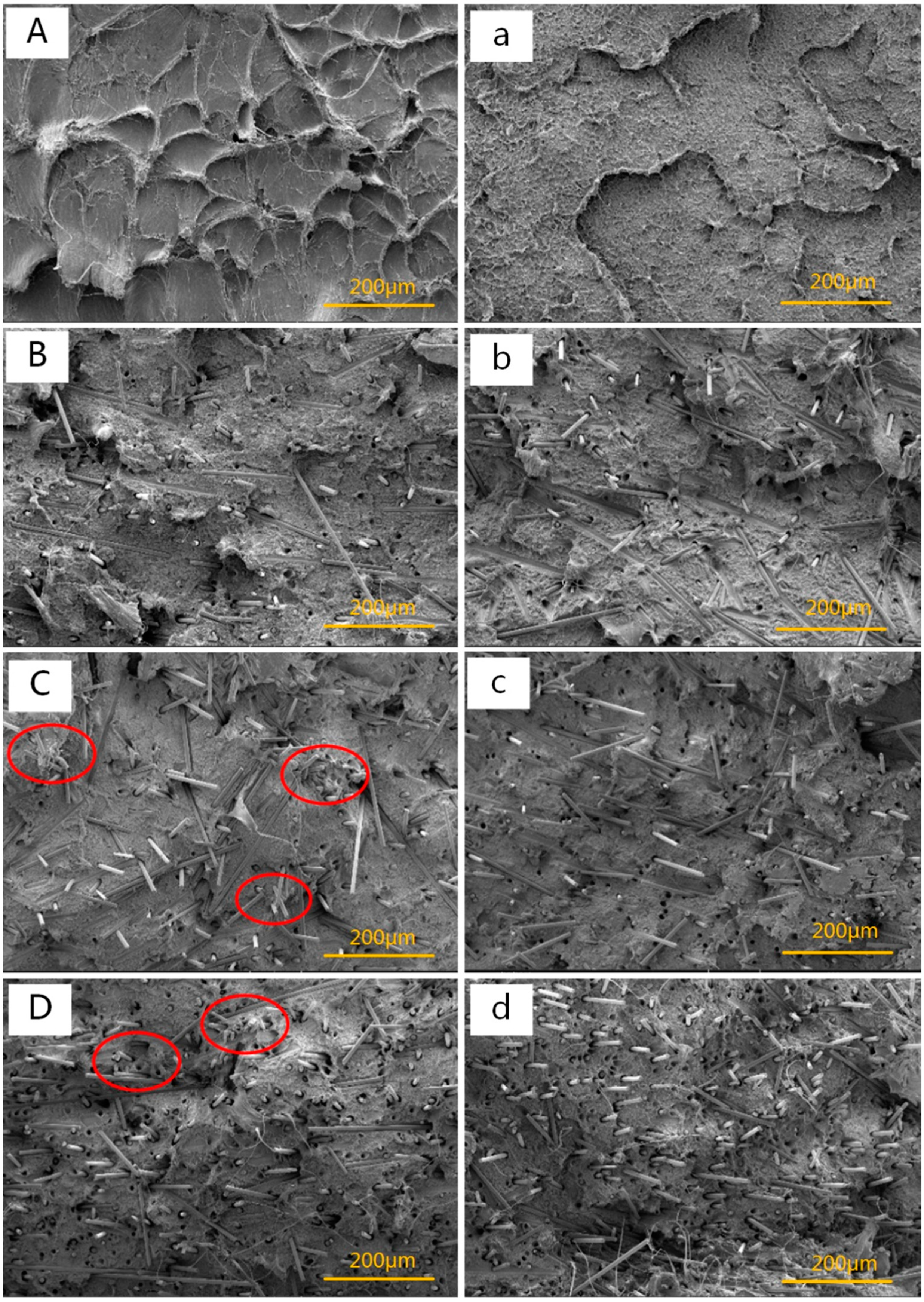 Polymers 11 02054 g003