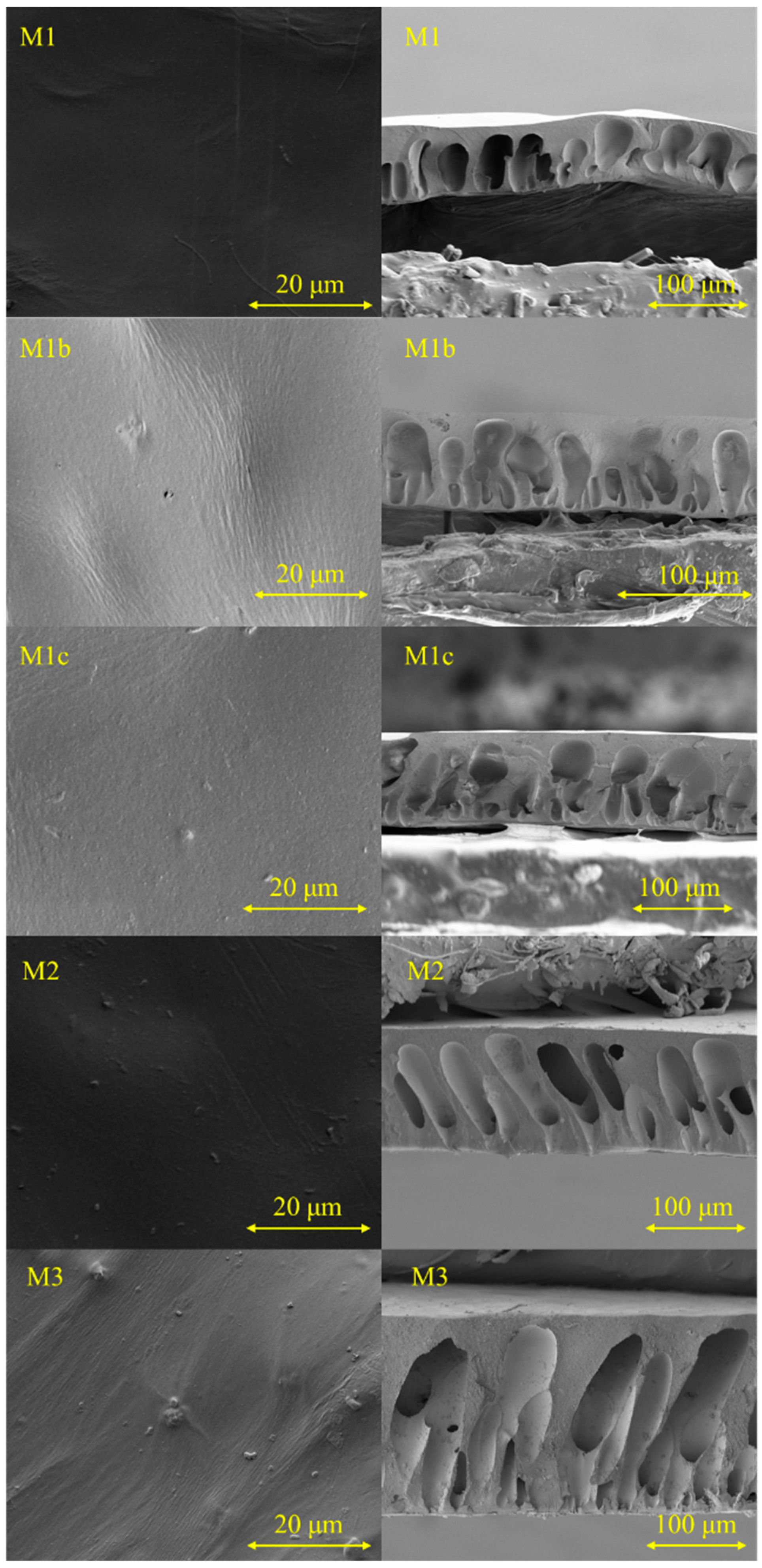 Polymers 11 02057 g006