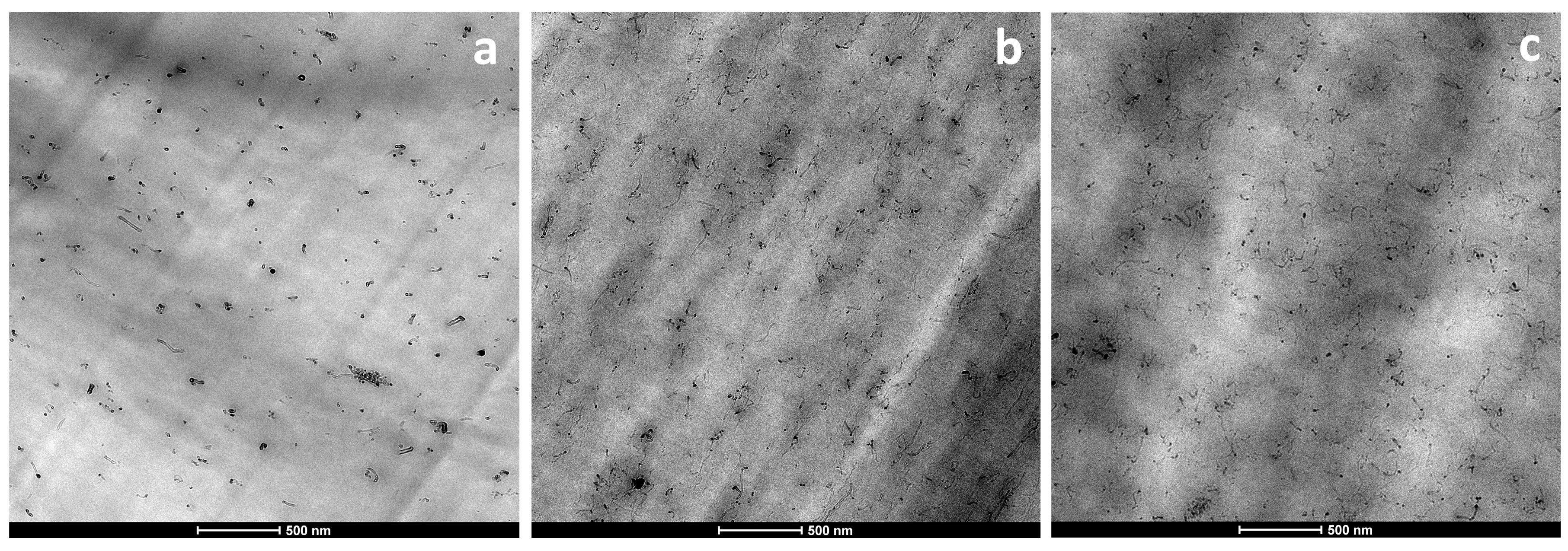 Polymers 11 02059 g006 Polymers 11 02059 g006