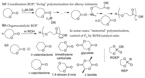 Polymers Free Full Text Dft Modeling Of Organocatalytic Ring Opening Polymerization Of Cyclic Esters A Crucial Role Of Proton Exchange And Hydrogen Bonding Html