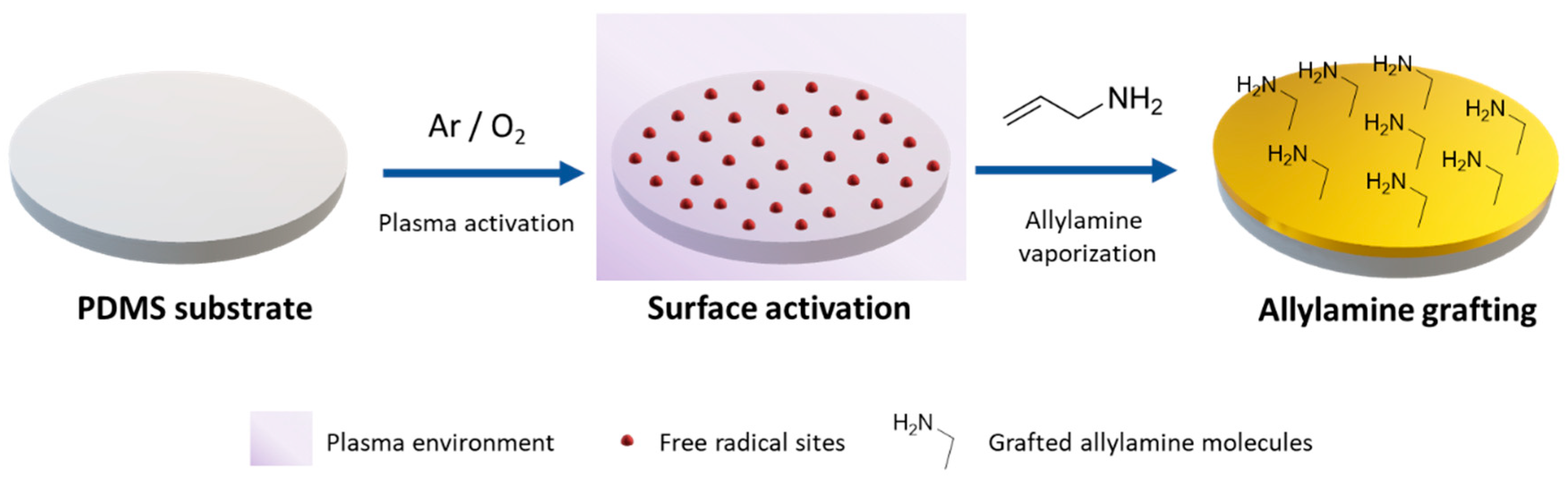 Polymers 11 02108 g001