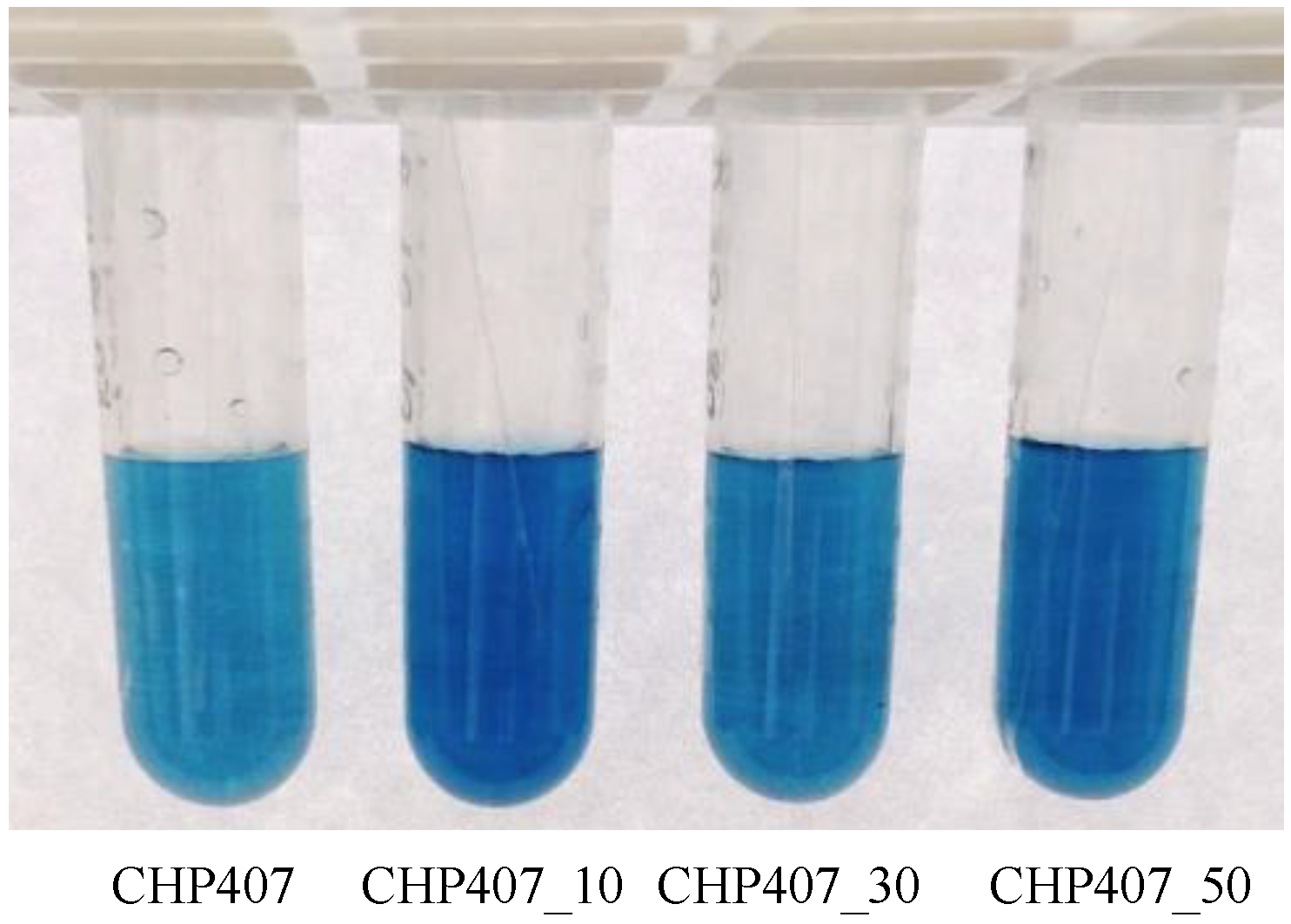Polymers 11 02109 g006 Polymers 11 02109 g006