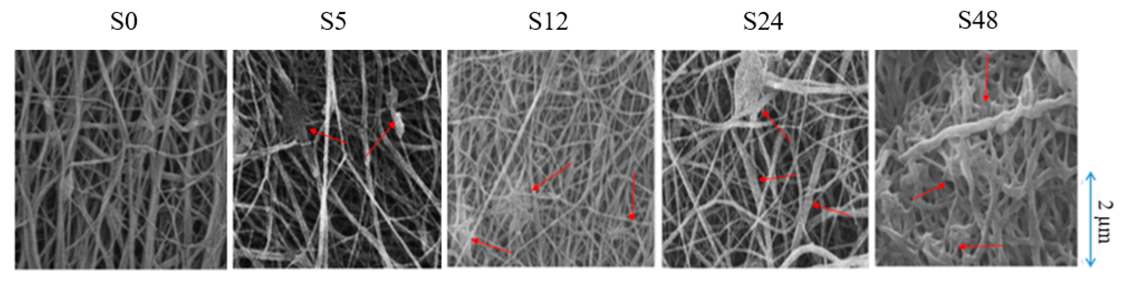 Polymers 11 02117 g001 Polymers 11 02117 g001